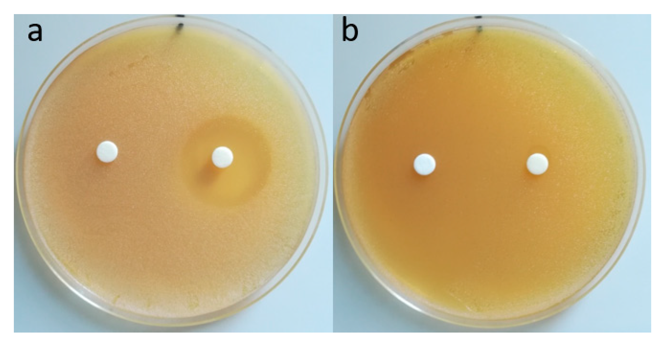 Polymers 12 02593 g011