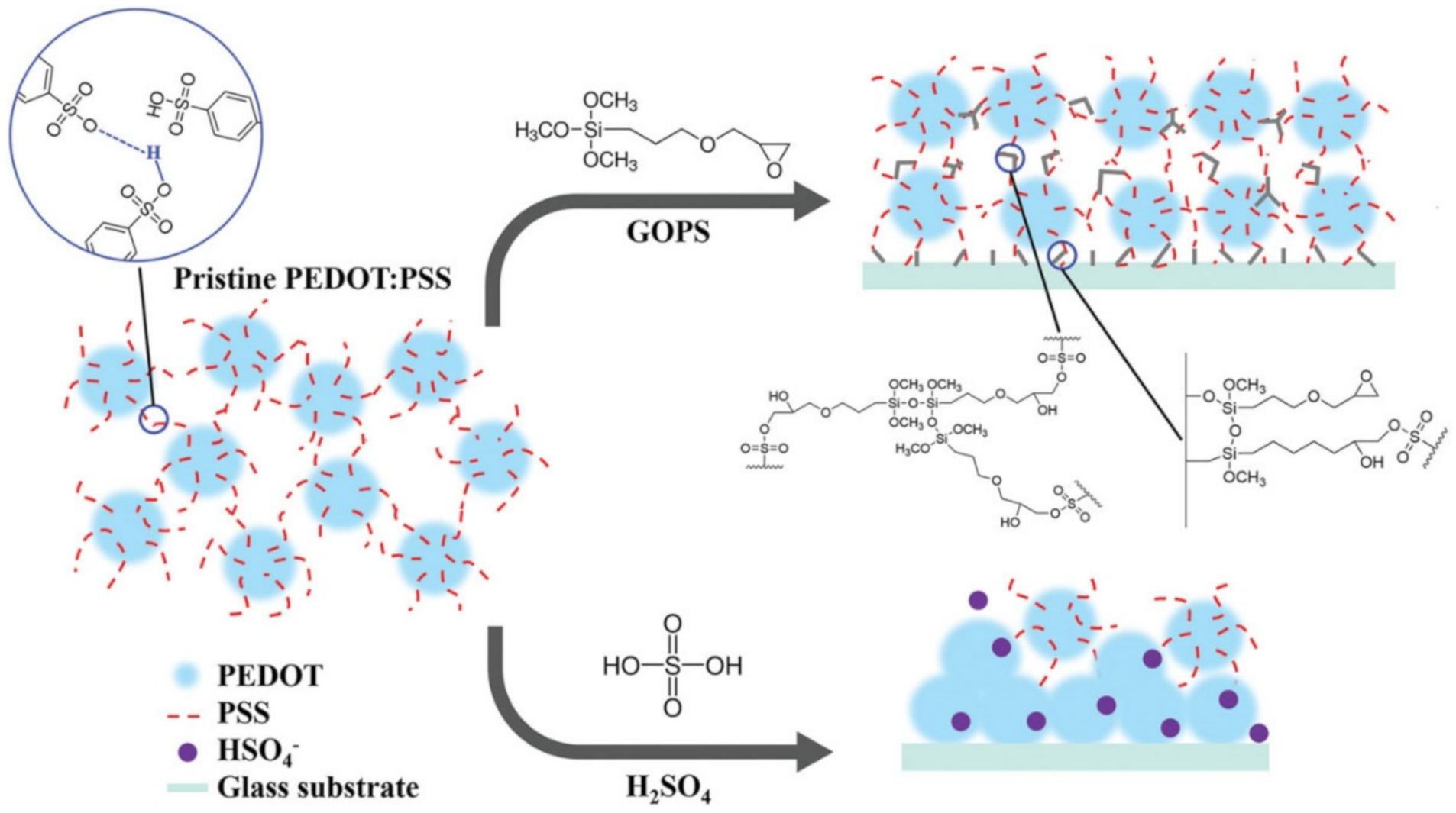 Polymers 12 02594 g002 Polymers 12 02594 g002