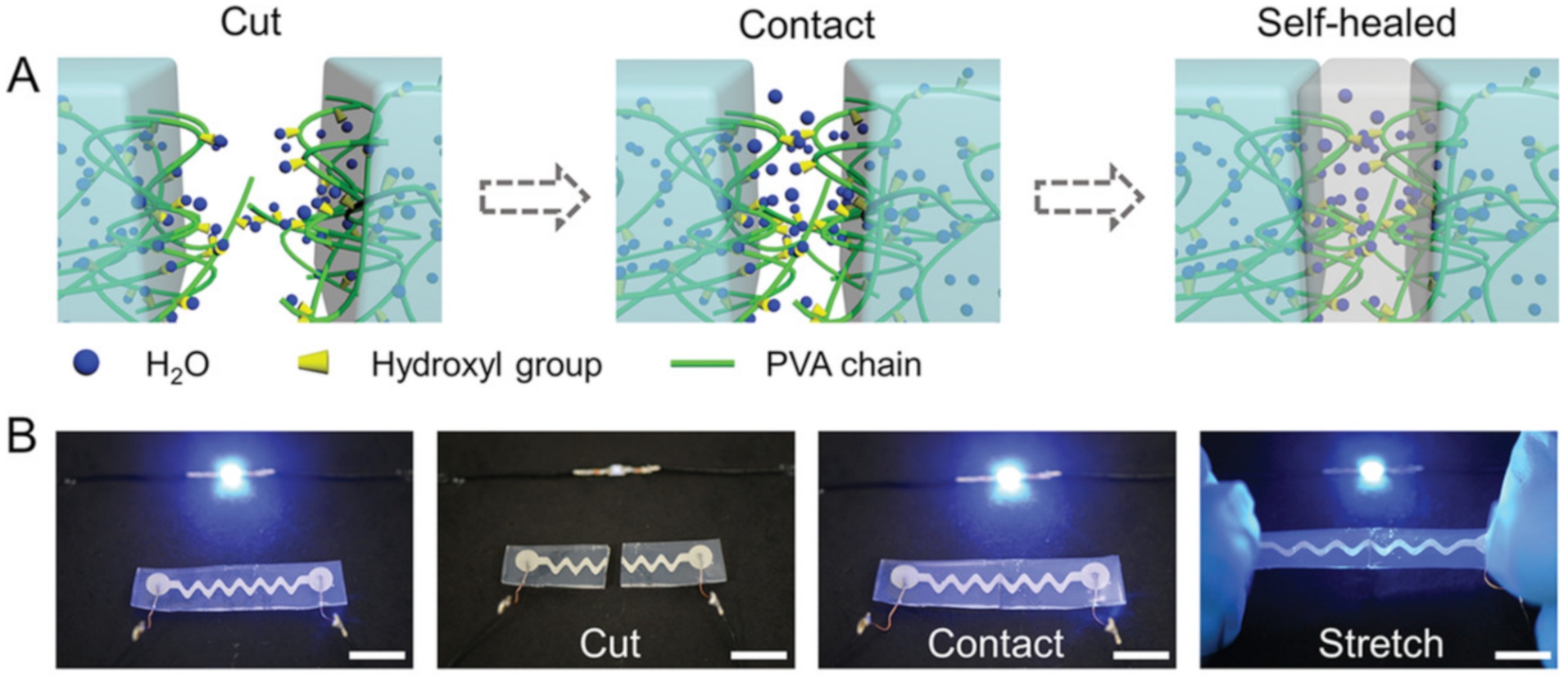 Polymers 12 02594 g004 Polymers 12 02594 g004