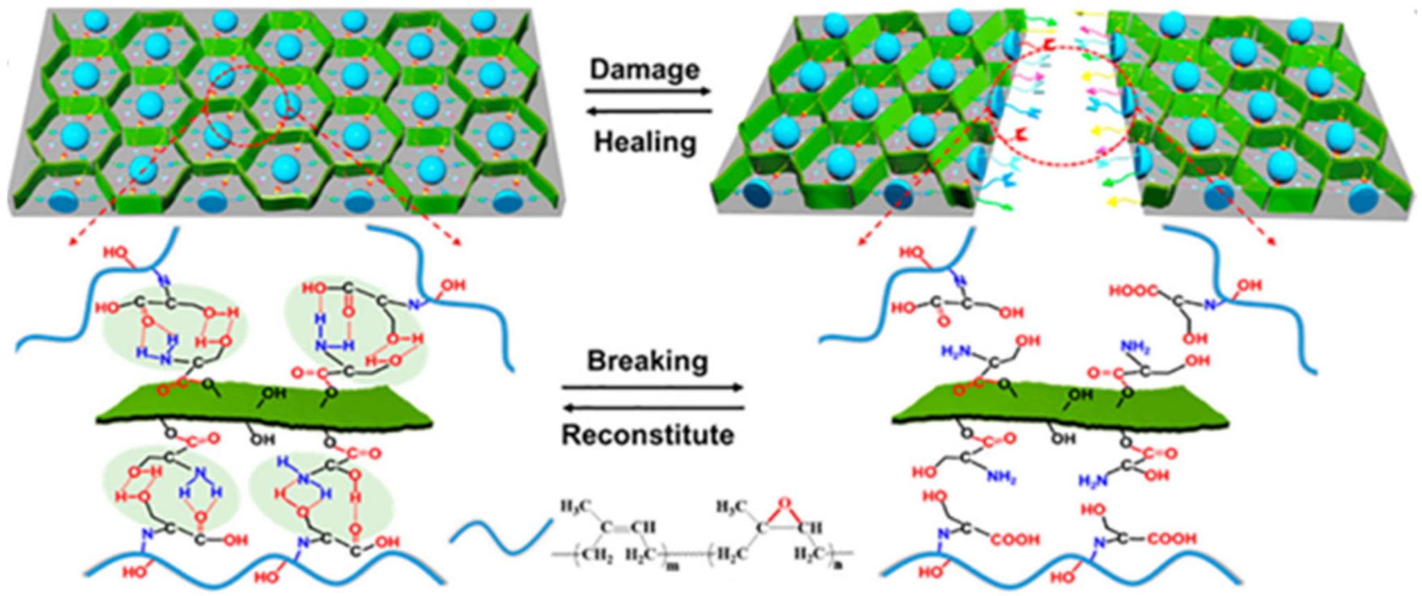 Polymers 12 02594 g005 Polymers 12 02594 g005