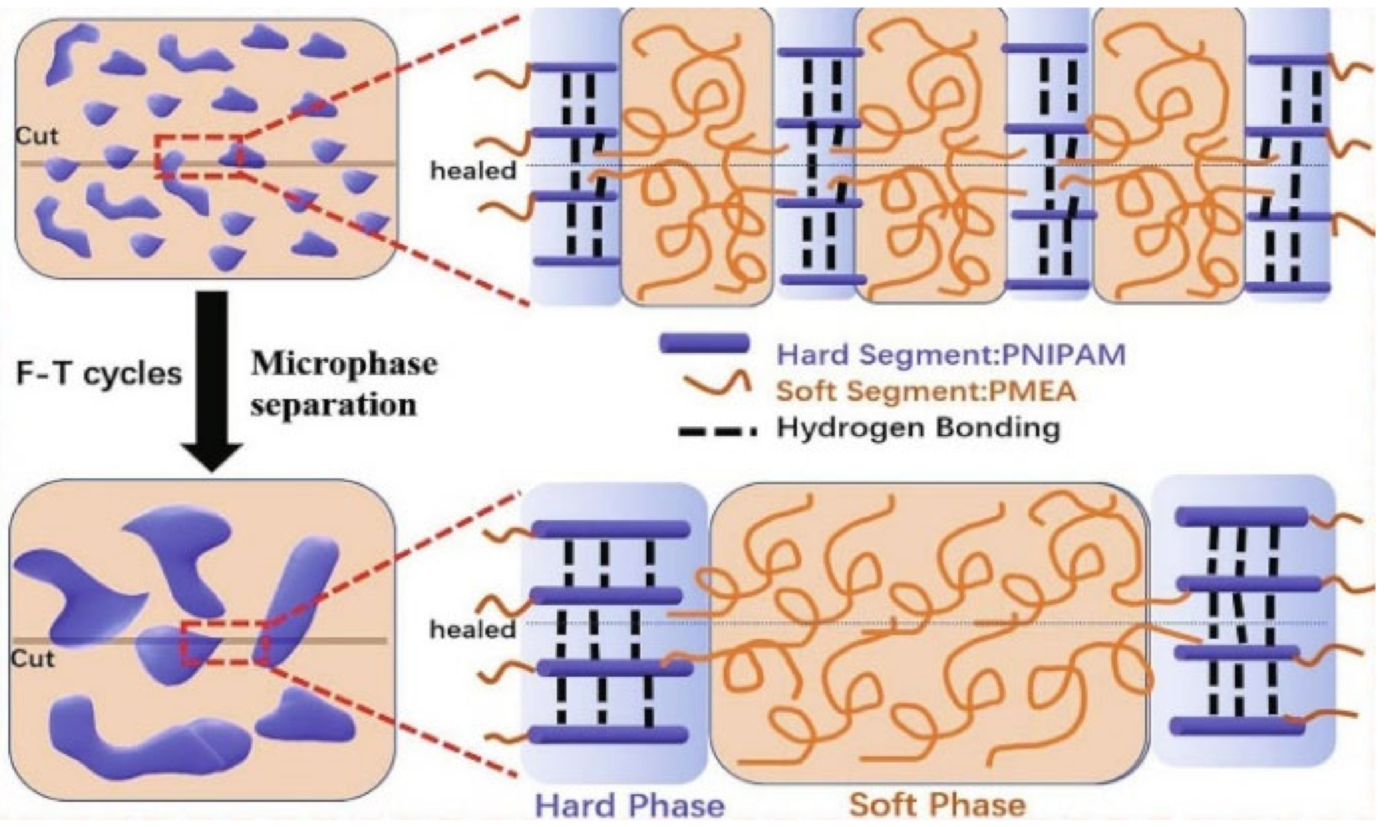 Polymers 12 02594 g006 Polymers 12 02594 g006
