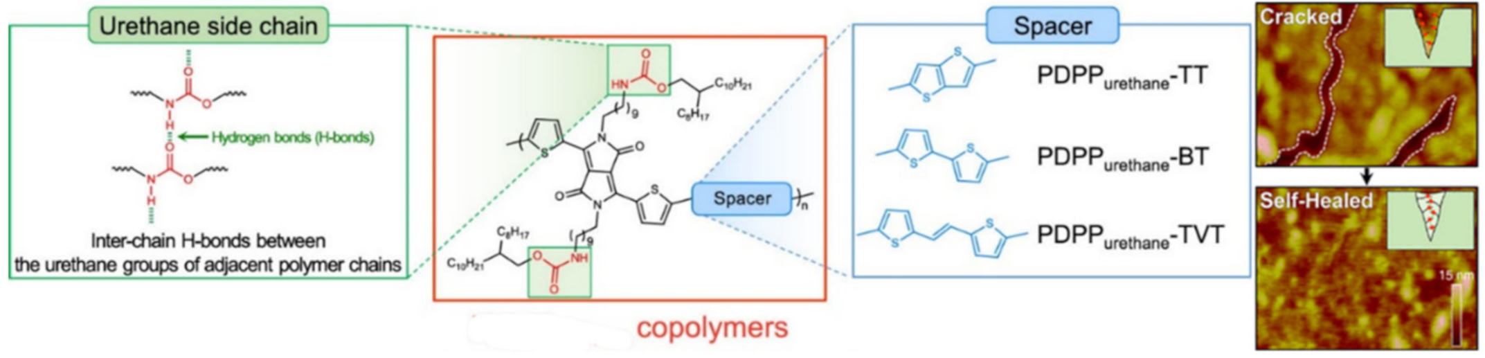 Polymers 12 02594 g019 Polymers 12 02594 g019