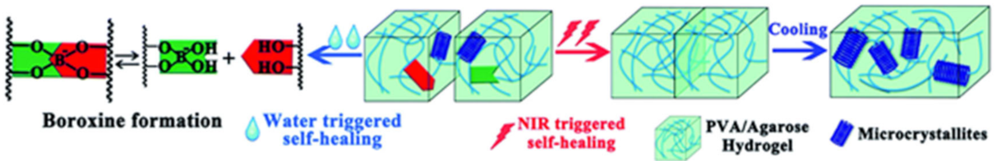 Polymers 12 02594 g032 Polymers 12 02594 g032