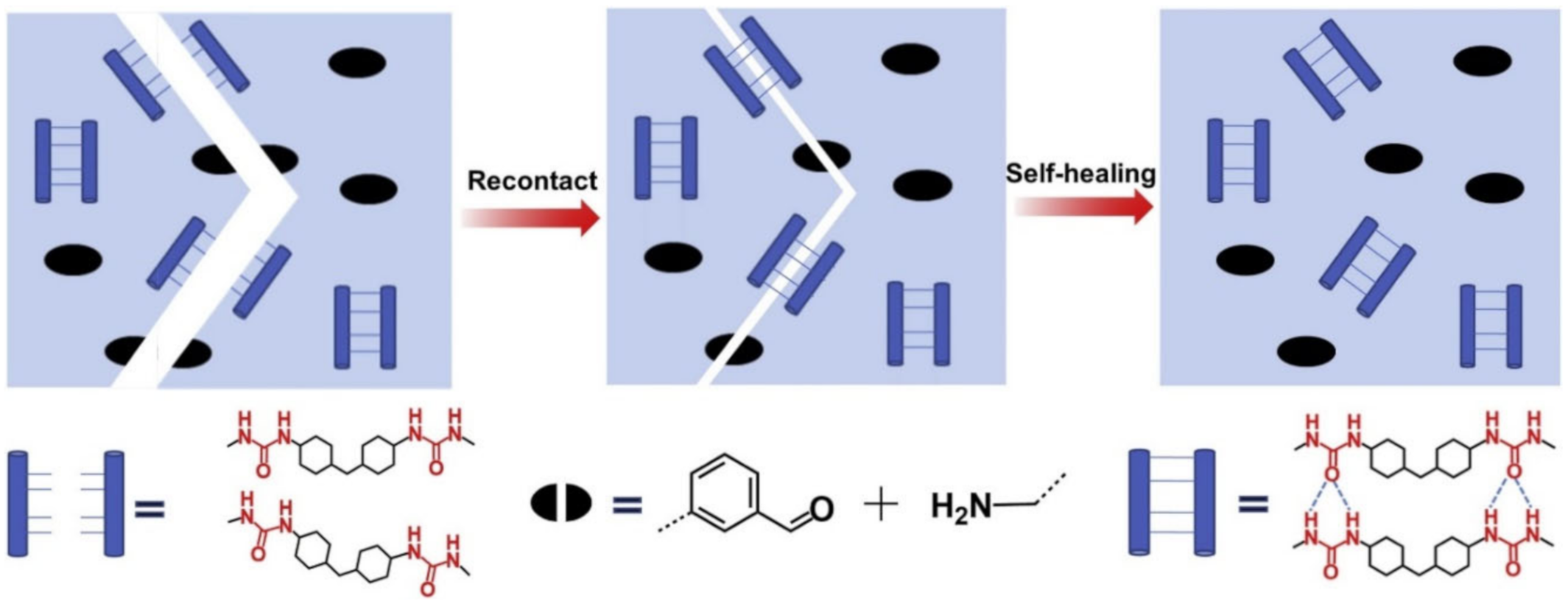 Polymers 12 02594 g035 Polymers 12 02594 g035