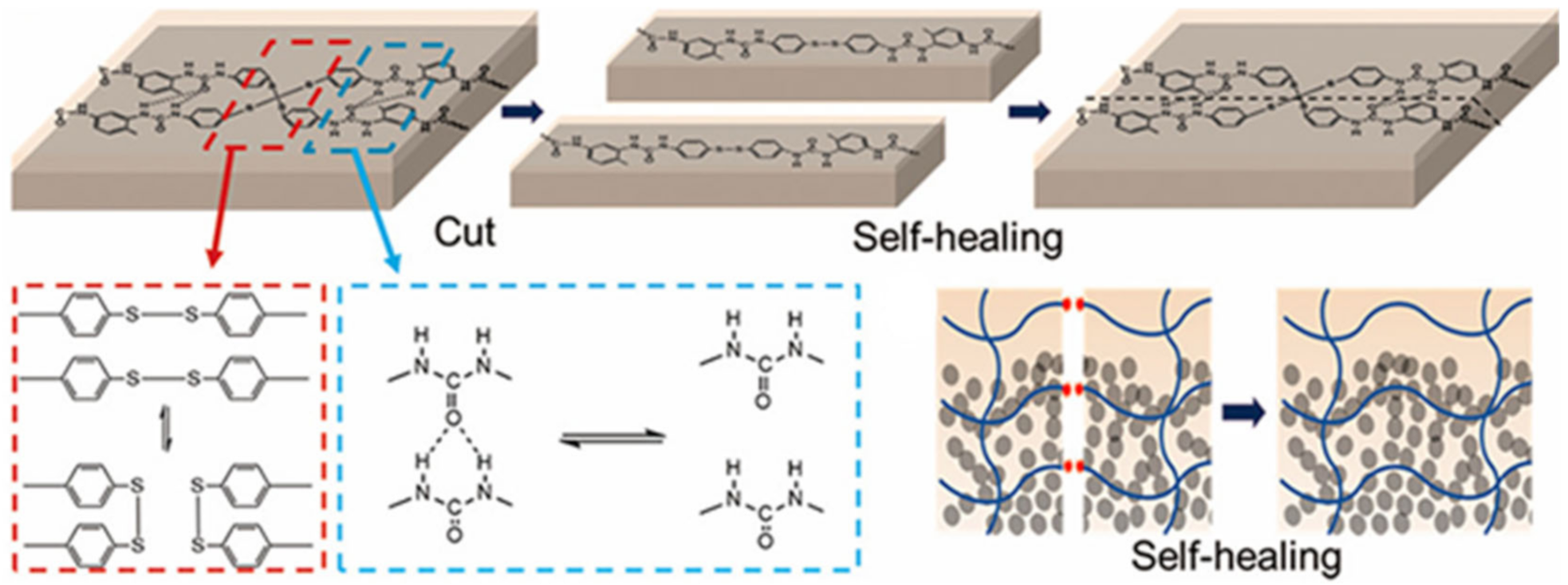 Polymers 12 02594 g037 Polymers 12 02594 g037
