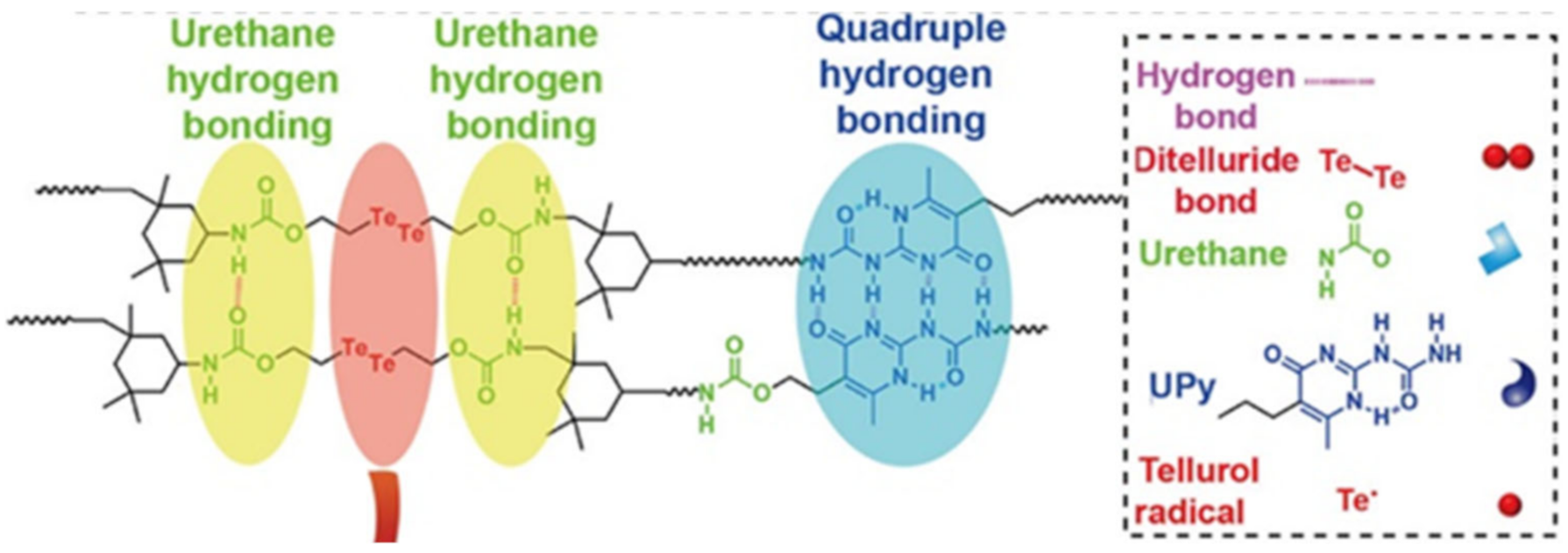 Polymers 12 02594 g043 Polymers 12 02594 g043