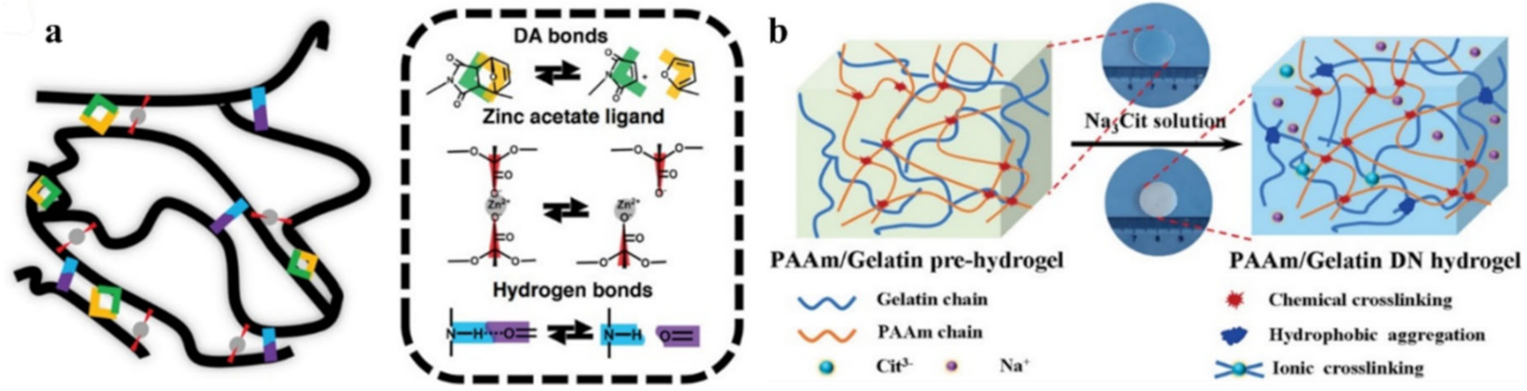 Polymers 12 02594 g057 Polymers 12 02594 g057