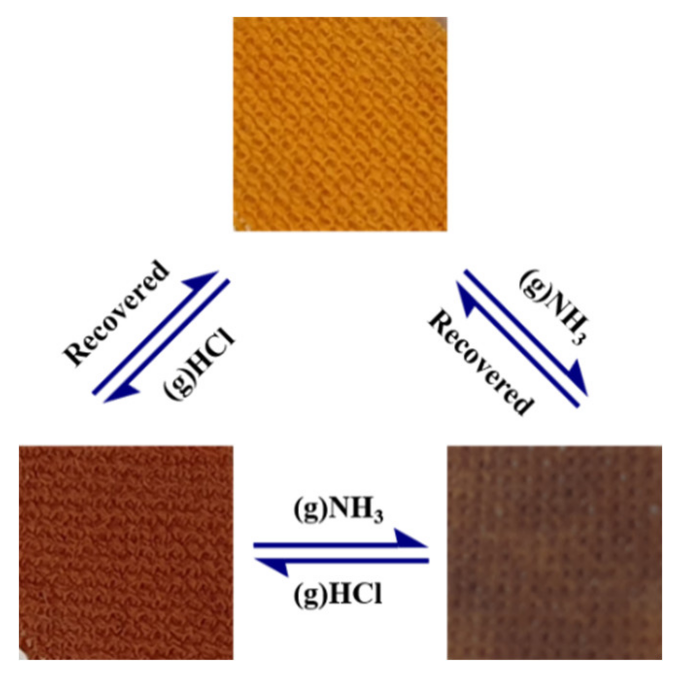 Polymers 12 02595 g004 Polymers 12 02595 g004