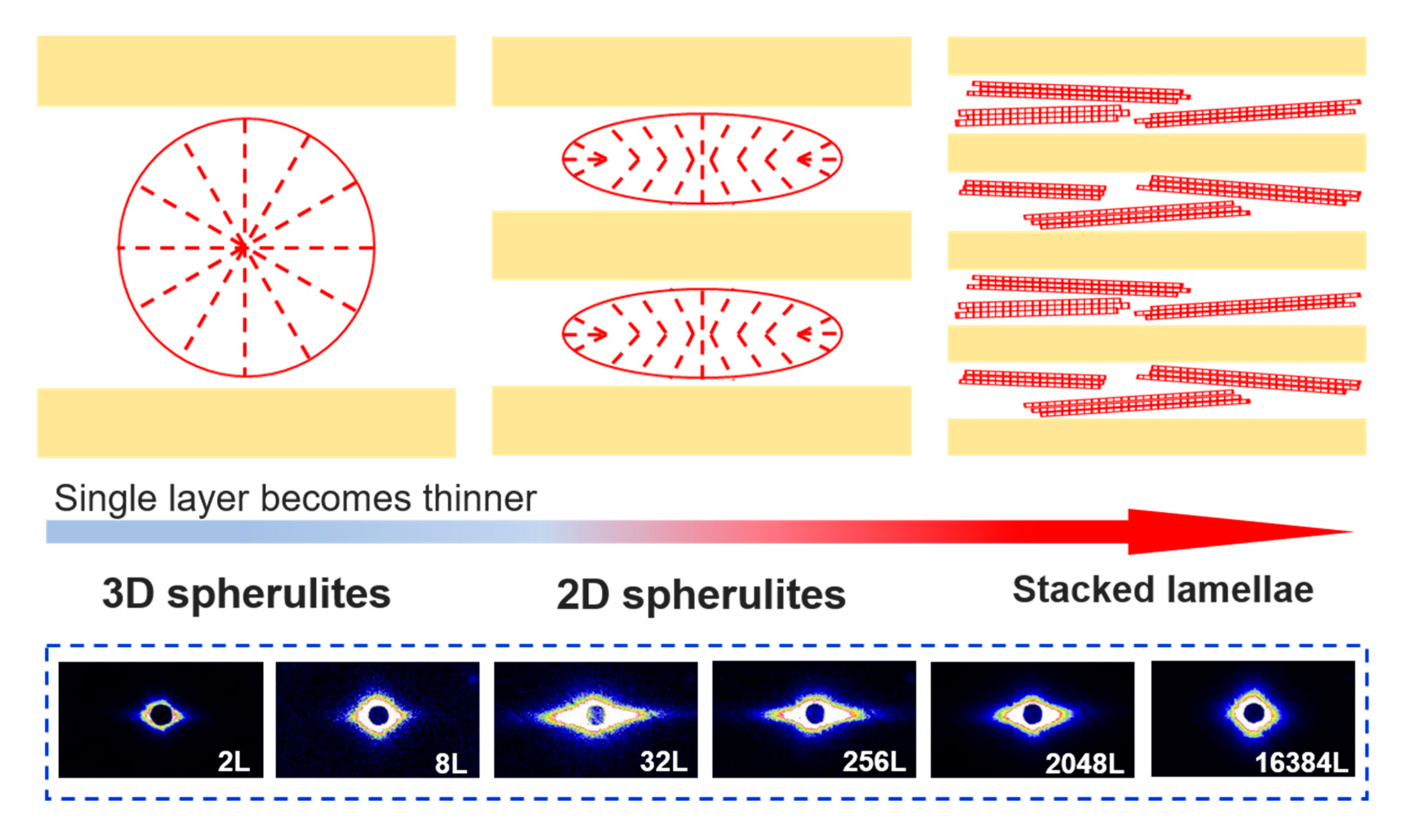 Polymers 12 02596 g005 Polymers 12 02596 g005