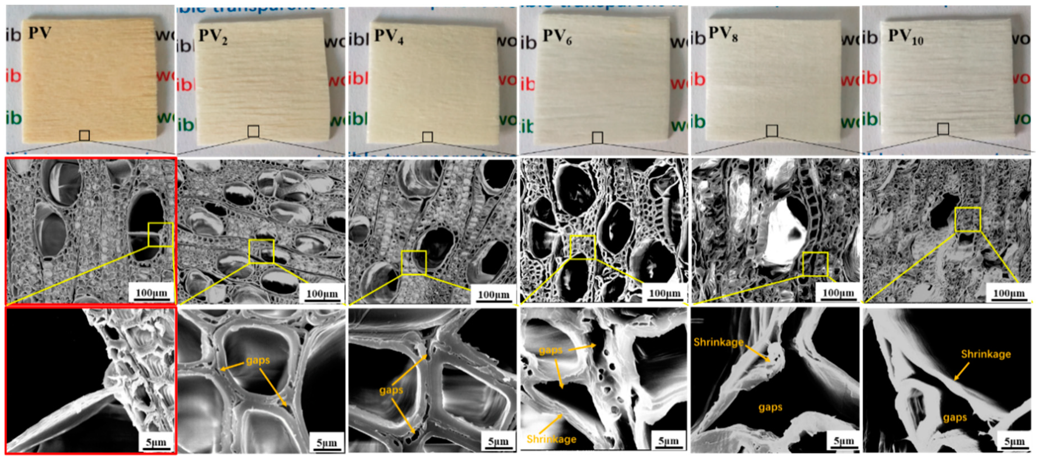 Polymers 12 02602 g002