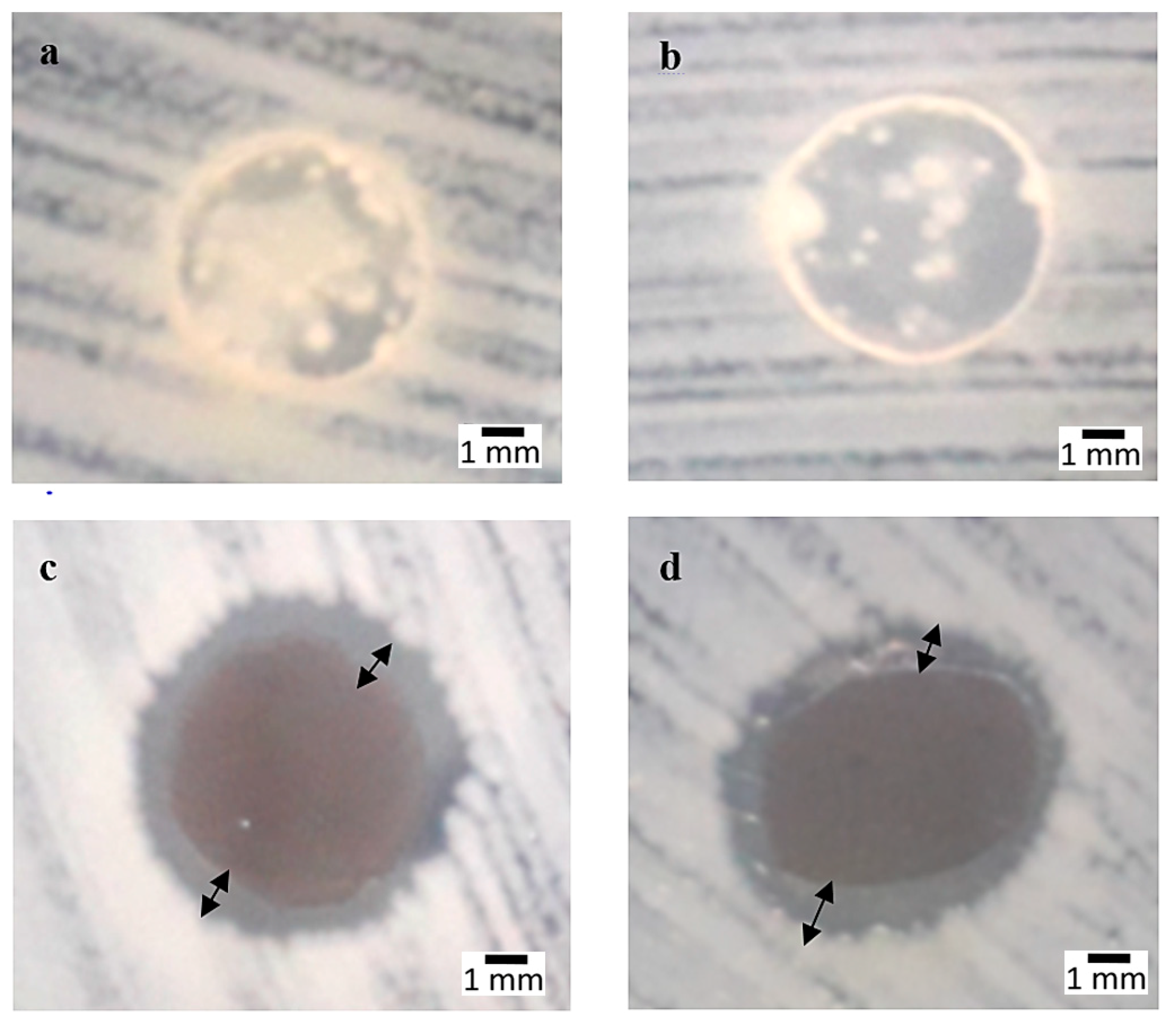 Polymers 12 02605 g001 Polymers 12 02605 g001