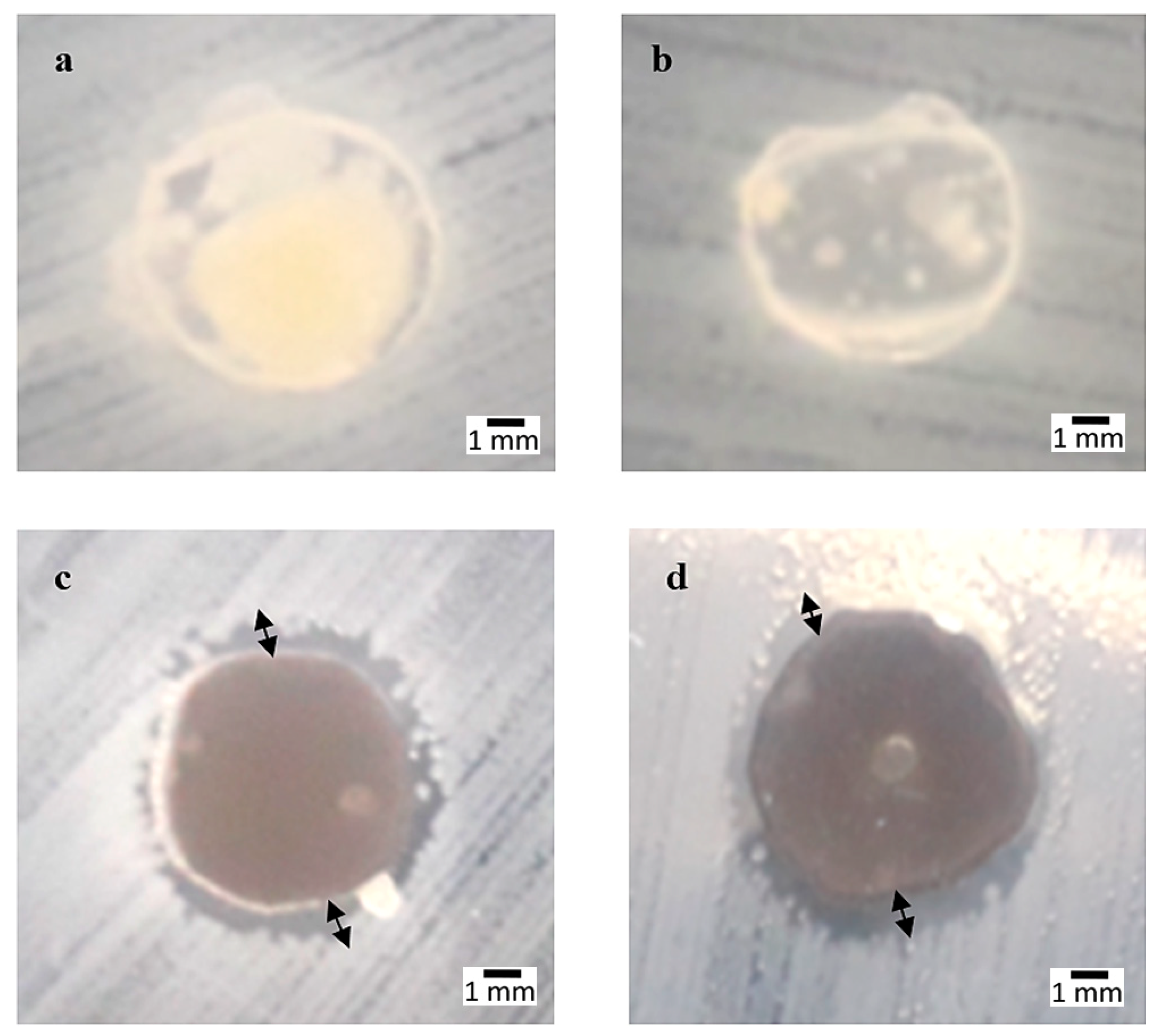 Polymers 12 02605 g003 Polymers 12 02605 g003