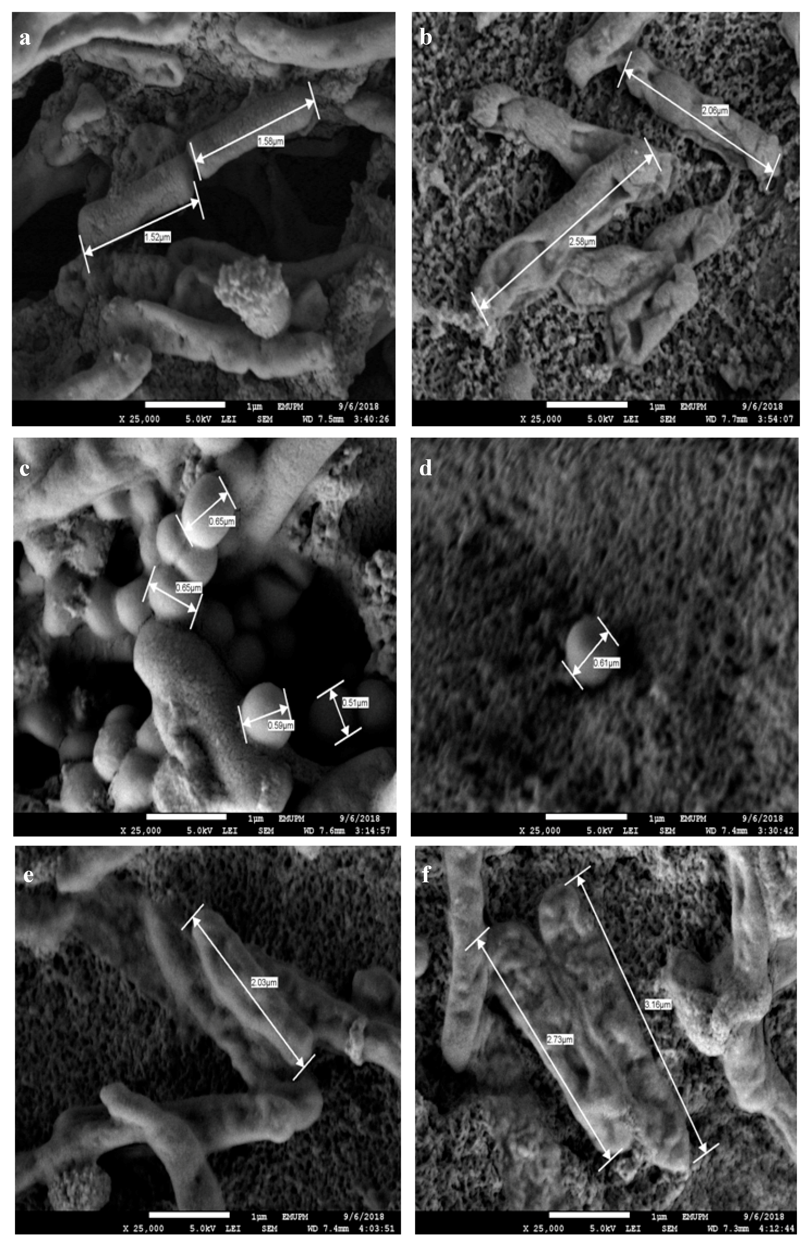 Polymers 12 02605 g009 Polymers 12 02605 g009