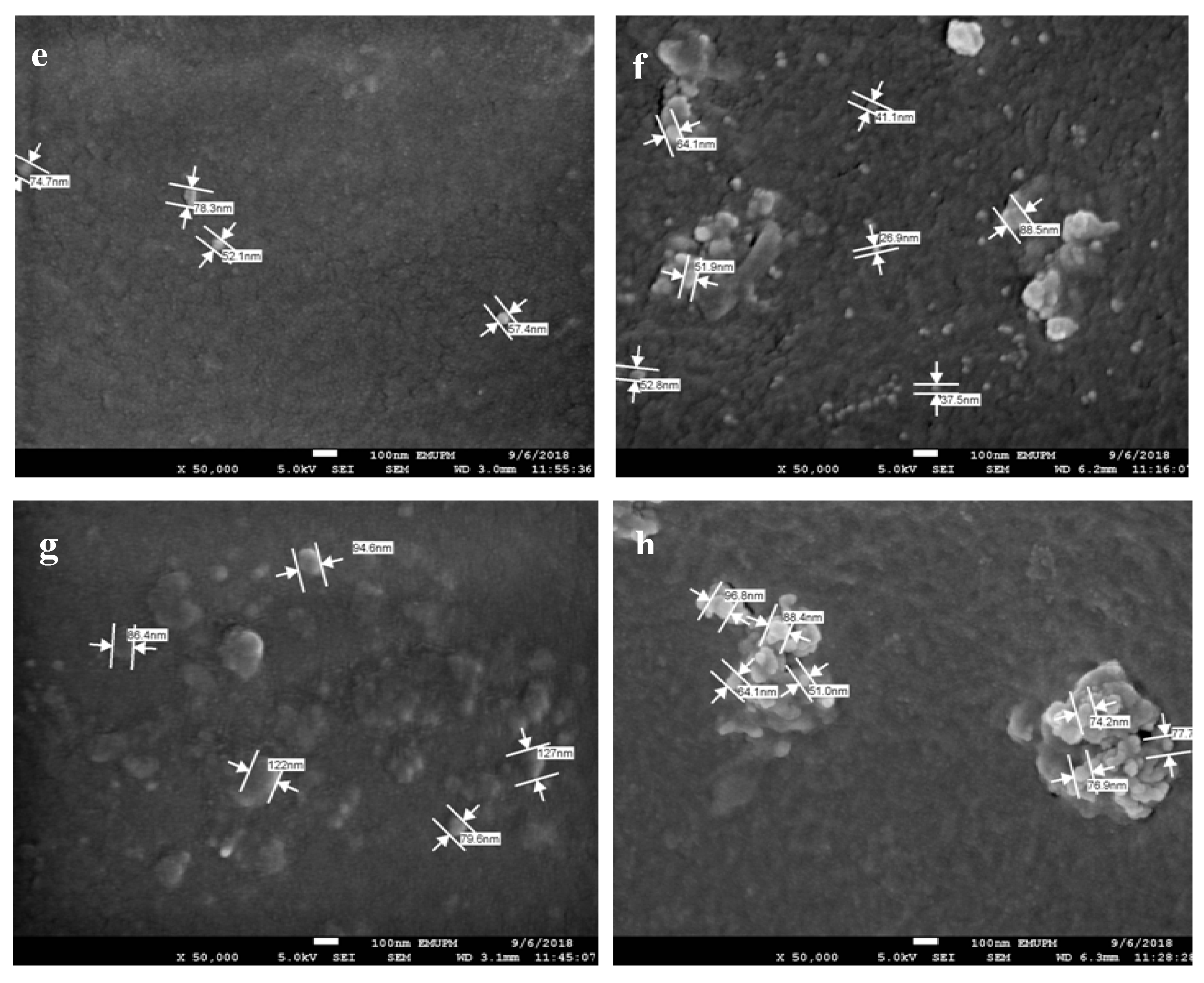 Polymers 12 02605 g010b Polymers 12 02605 g010b