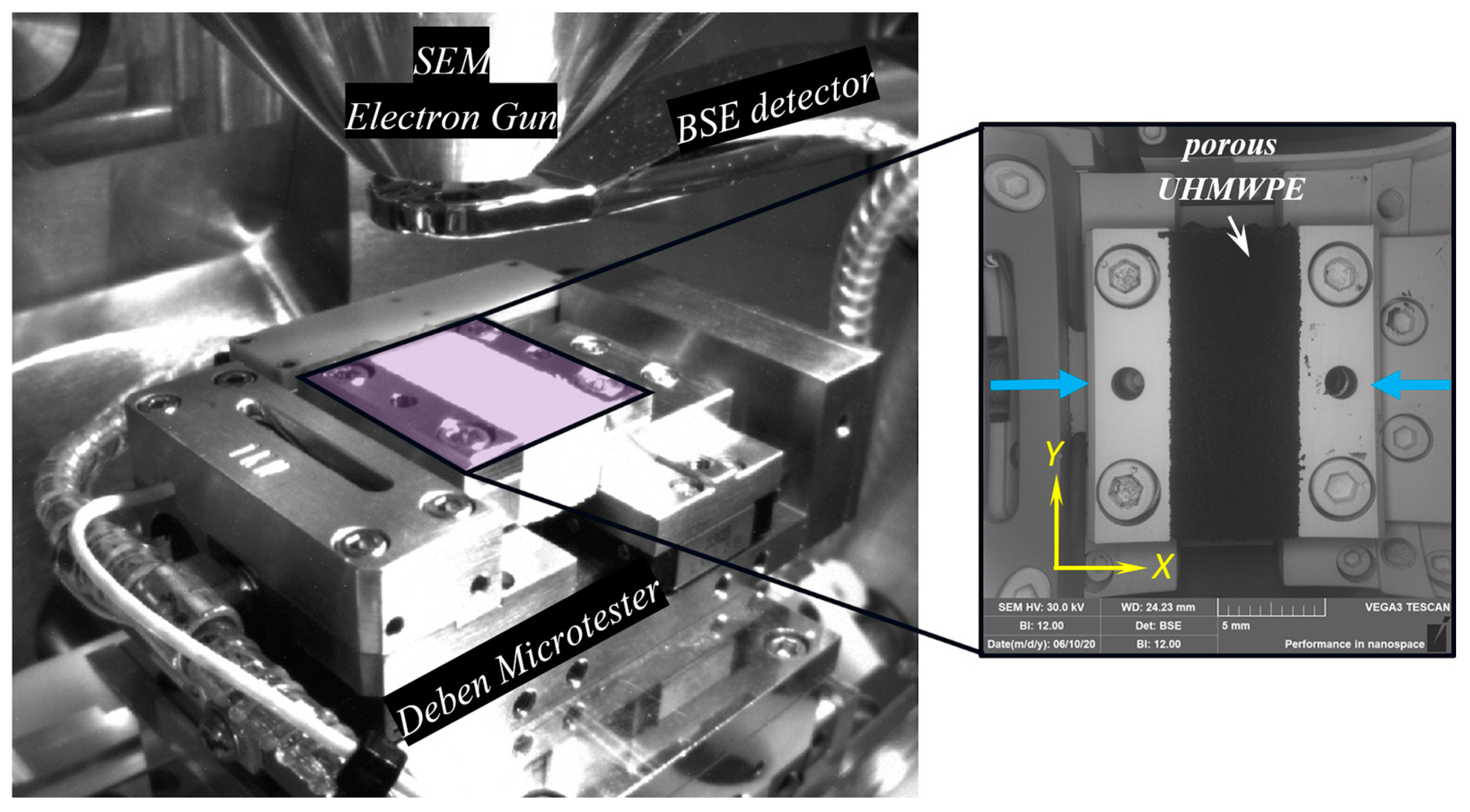 Polymers 12 02607 g005 Polymers 12 02607 g005