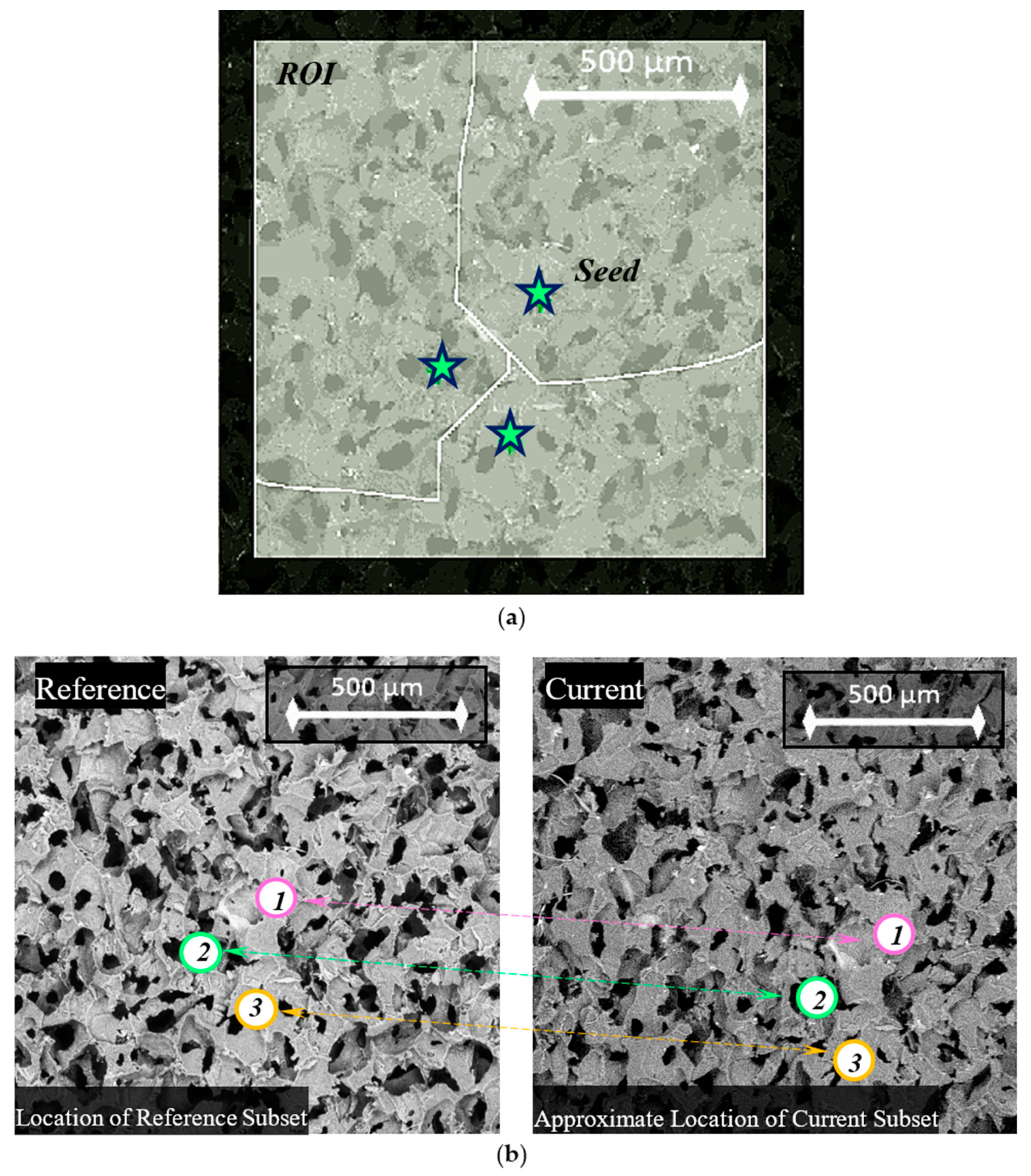 Polymers 12 02607 g007 Polymers 12 02607 g007