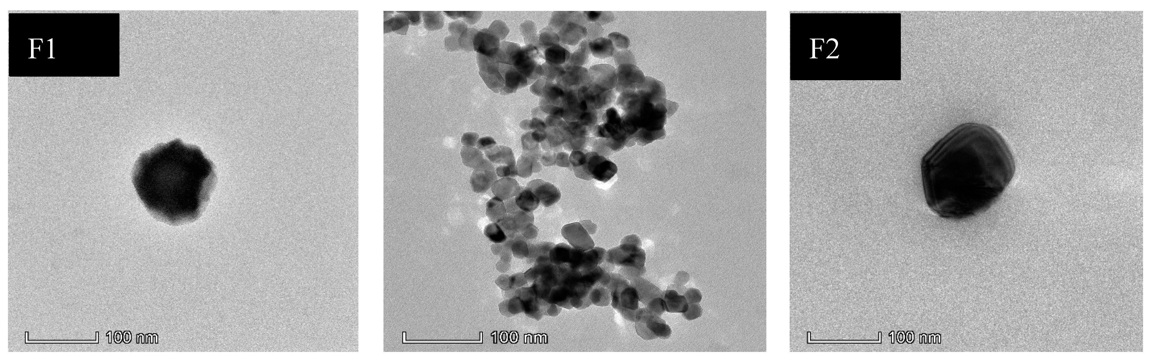 Polymers 12 02608 g001