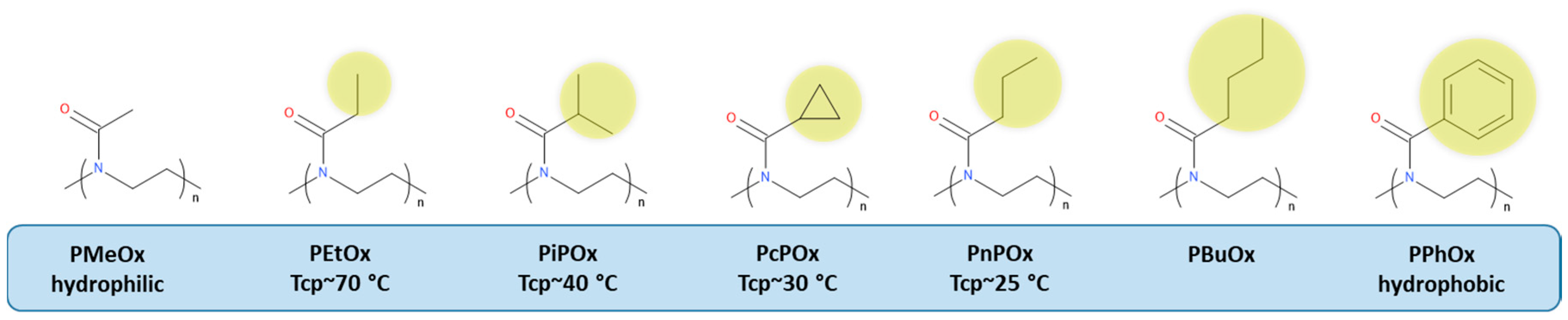 Polymers 12 02609 g001