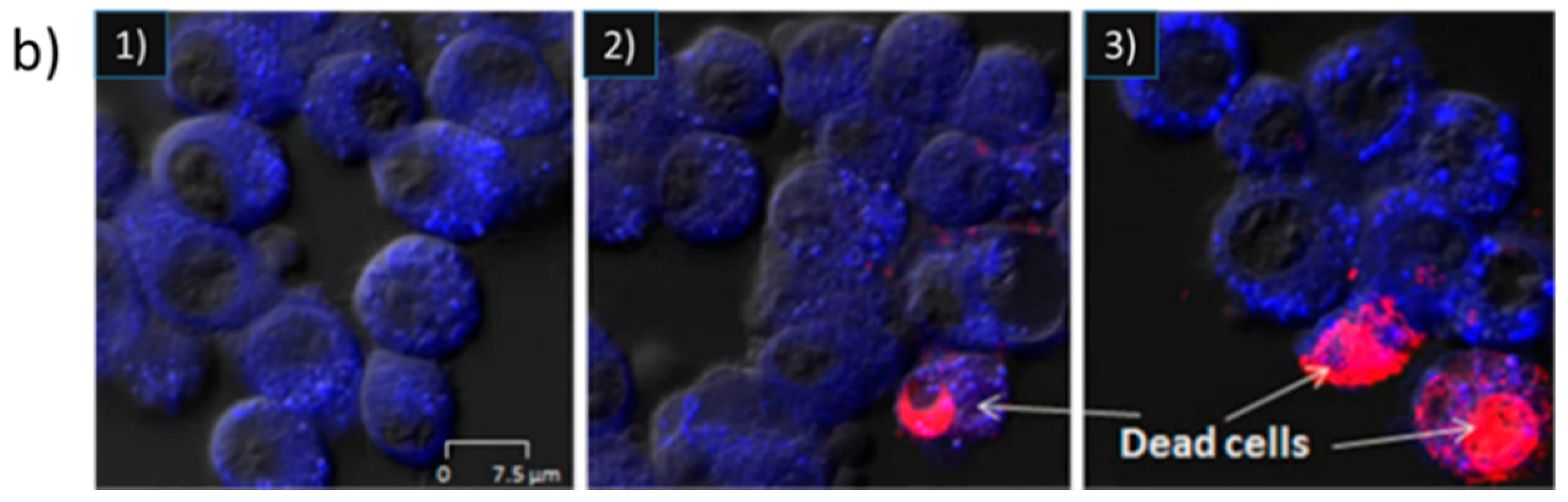 Polymers 12 02609 g006b