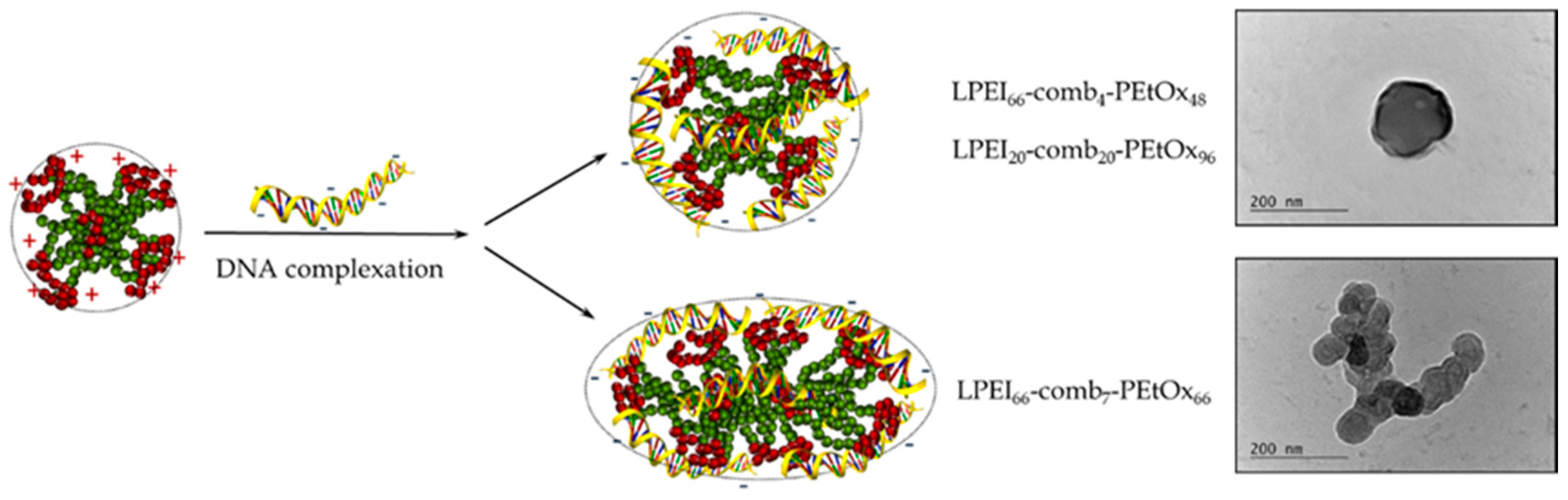 Polymers 12 02609 g008
