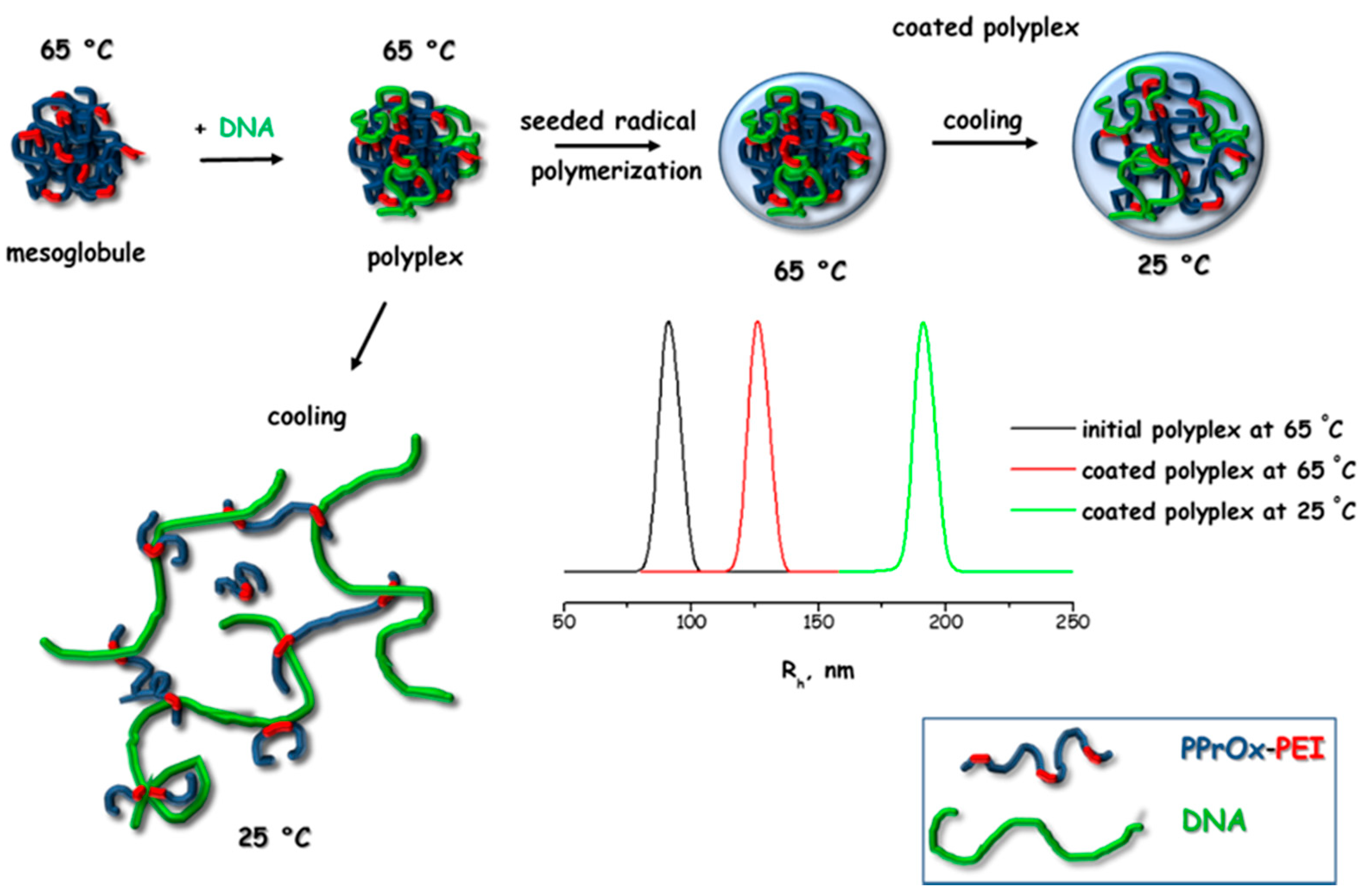 Polymers 12 02609 g009