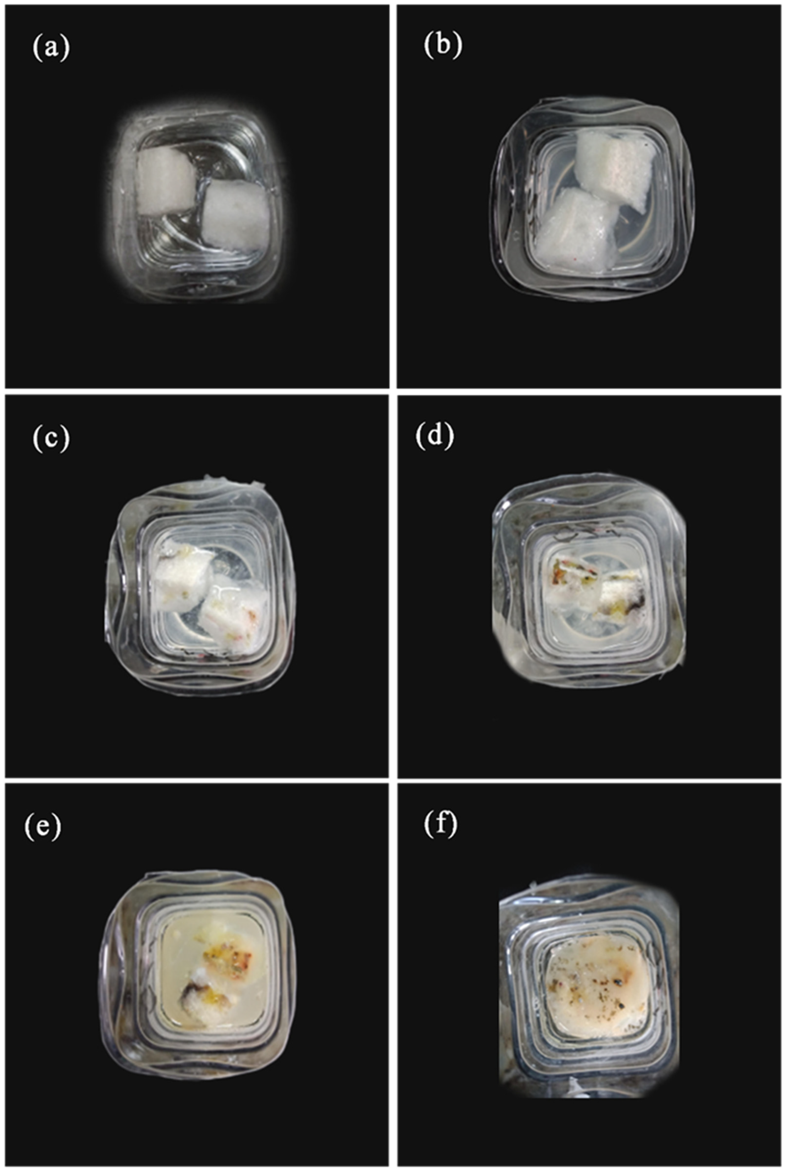 Polymers 12 02612 g009