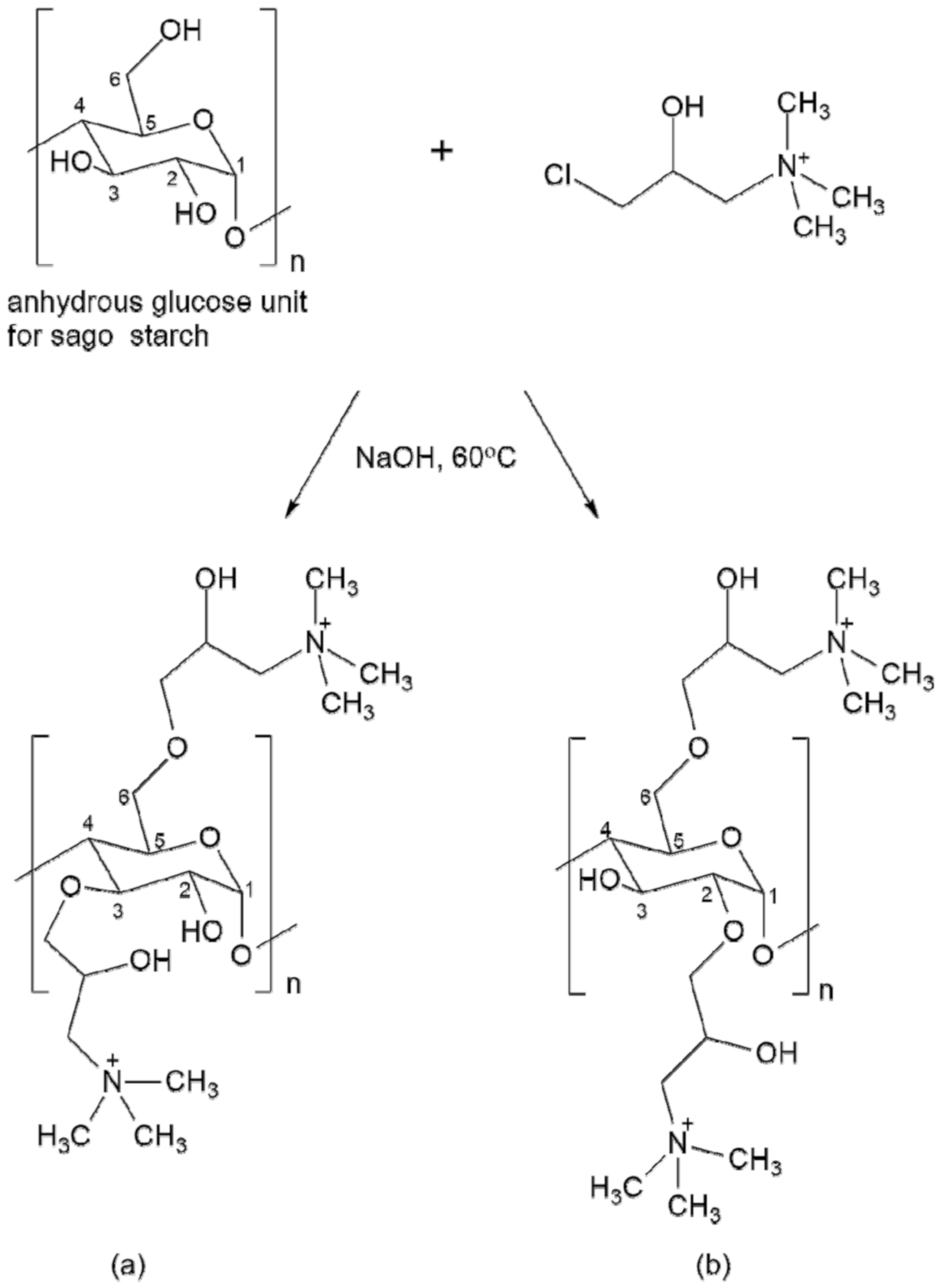 Polymers 12 02614 g005 Polymers 12 02614 g005