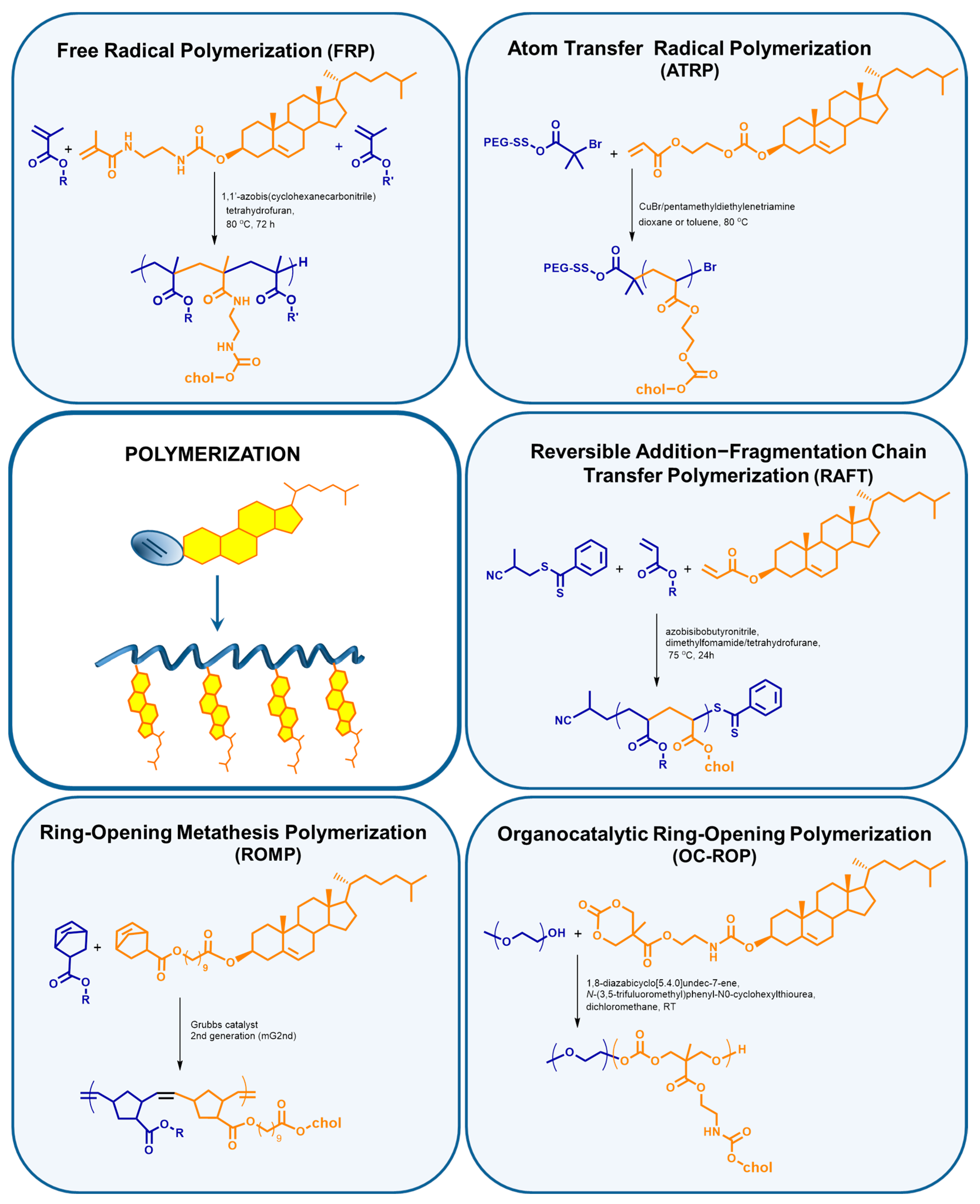 Polymers Free Full Text Polymeric Drug Delivery Systems Bearing Cholesterol Moieties A Review Html