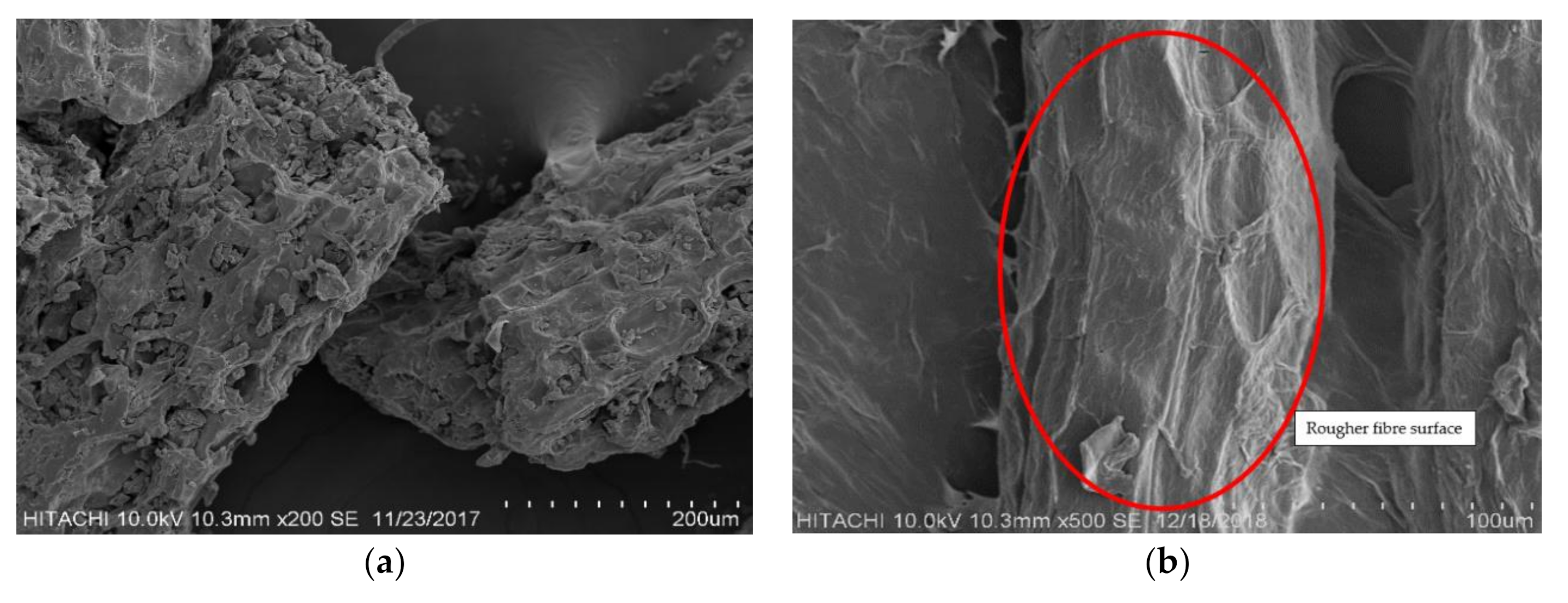 Polymers 12 02622 g002 Polymers 12 02622 g002