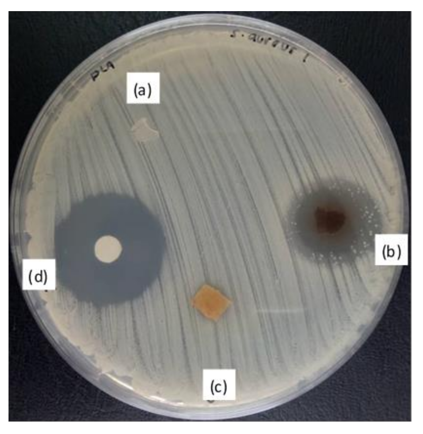 Polymers 12 02622 g011 Polymers 12 02622 g011