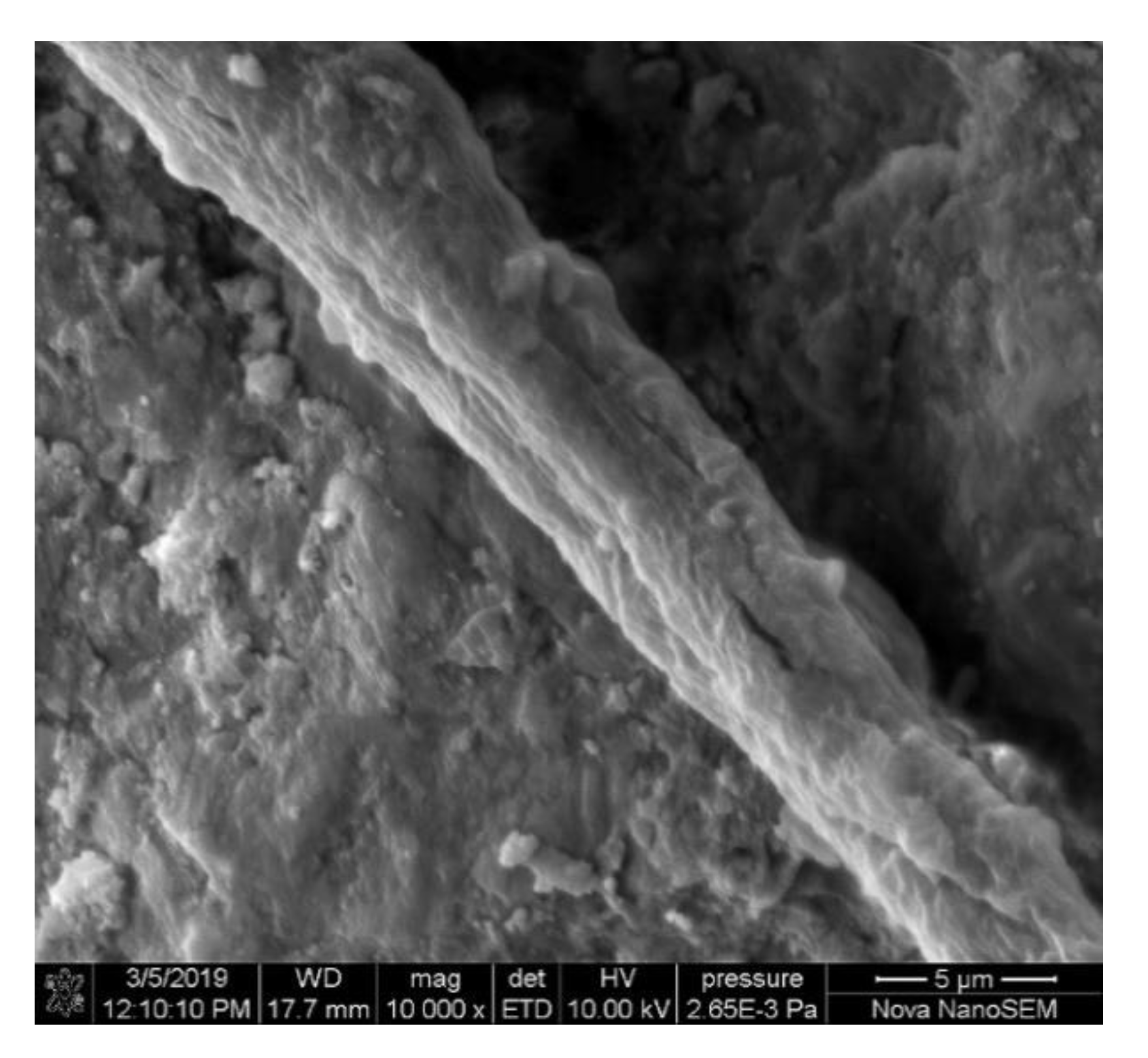 Polymers 12 02624 g004 Polymers 12 02624 g004