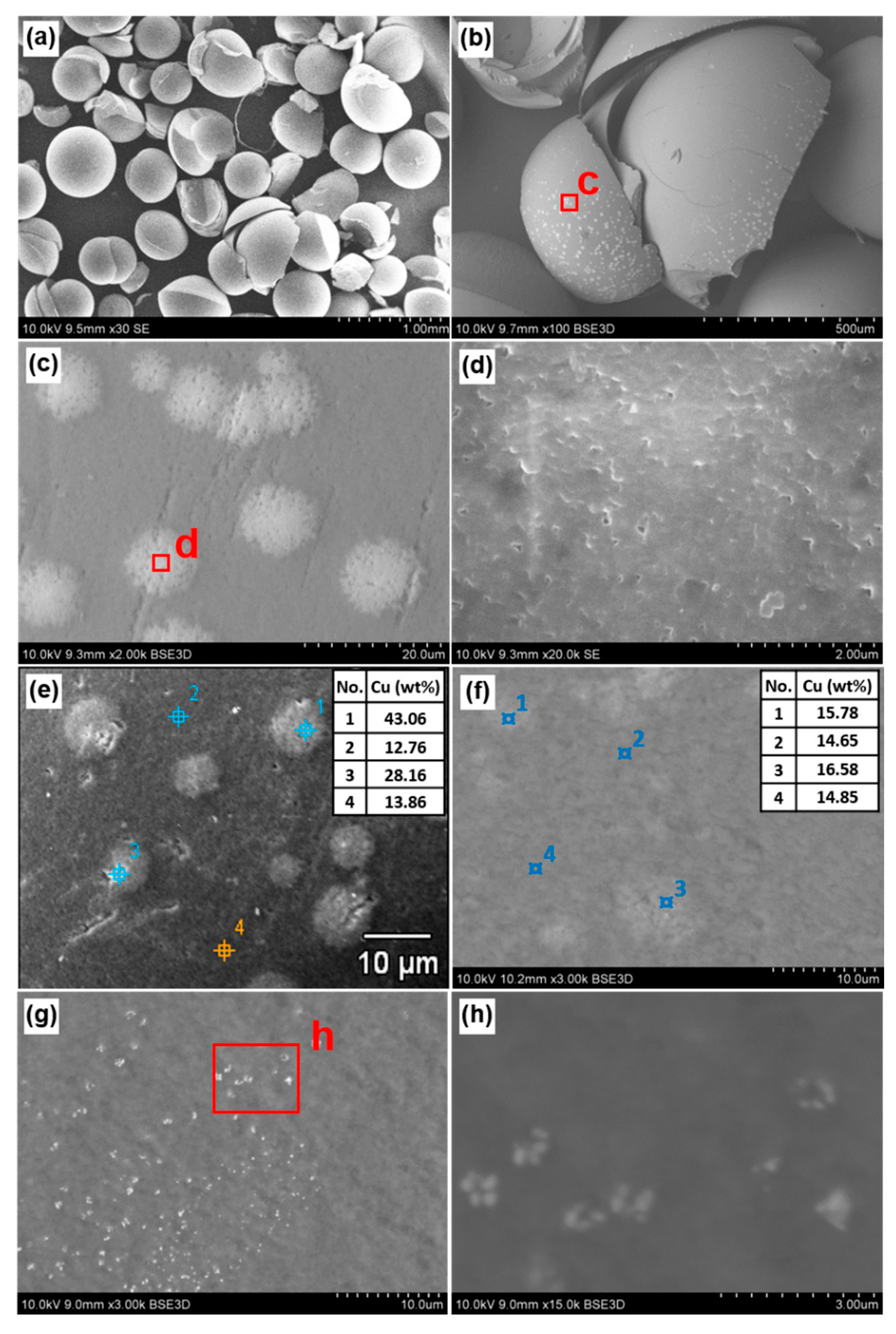 Polymers 12 02629 g003 Polymers 12 02629 g003