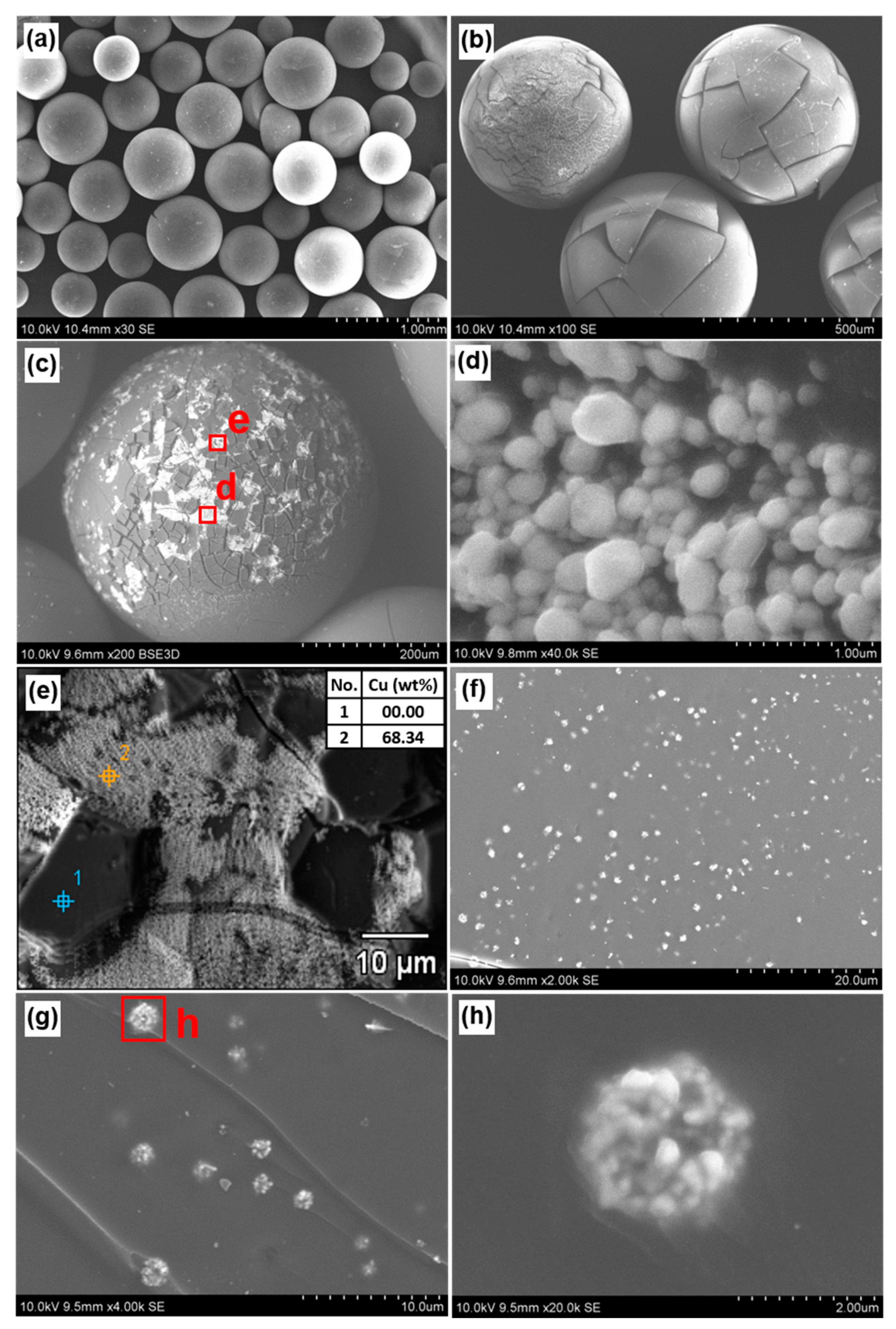 Polymers 12 02629 g004 Polymers 12 02629 g004