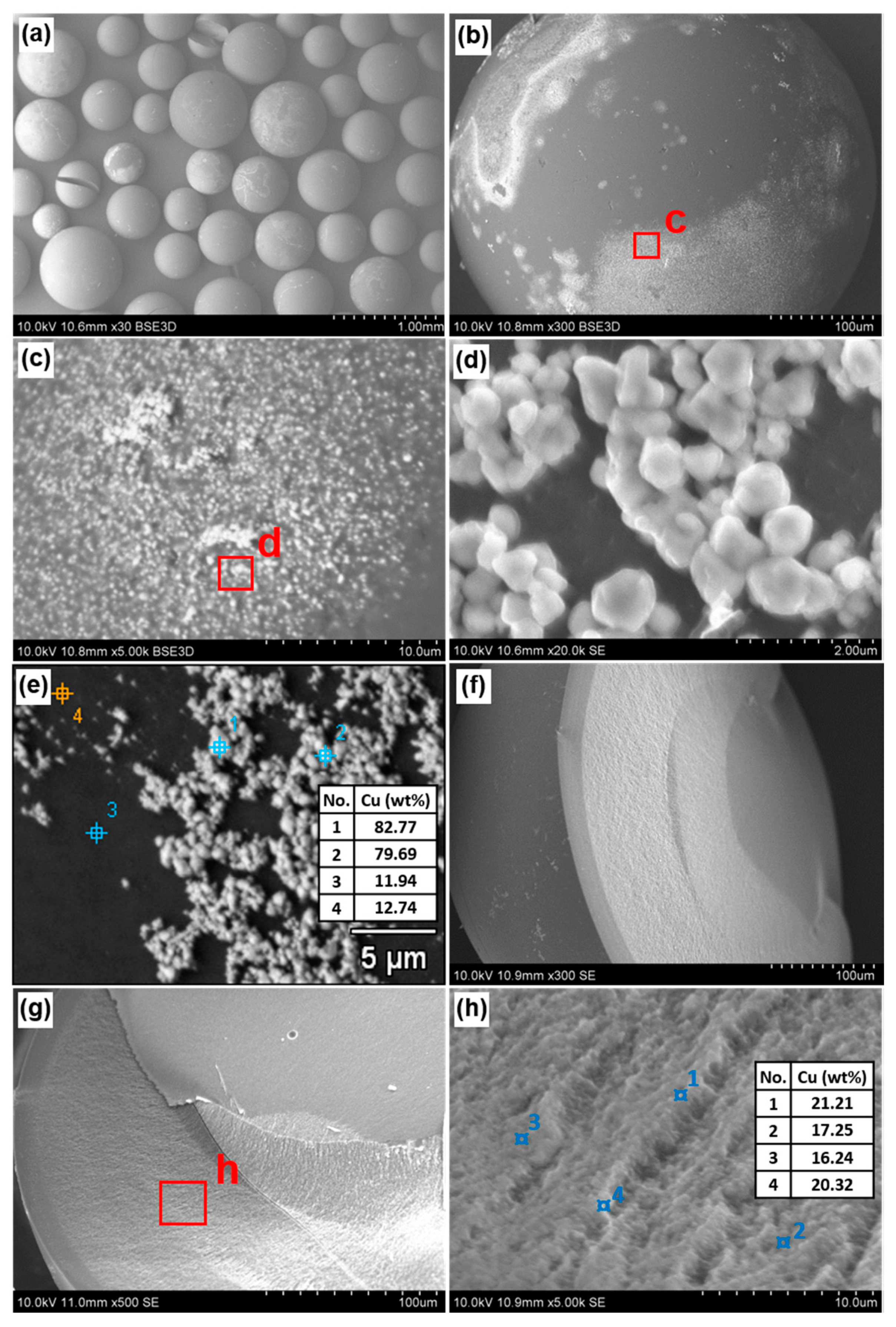 Polymers 12 02629 g008 Polymers 12 02629 g008