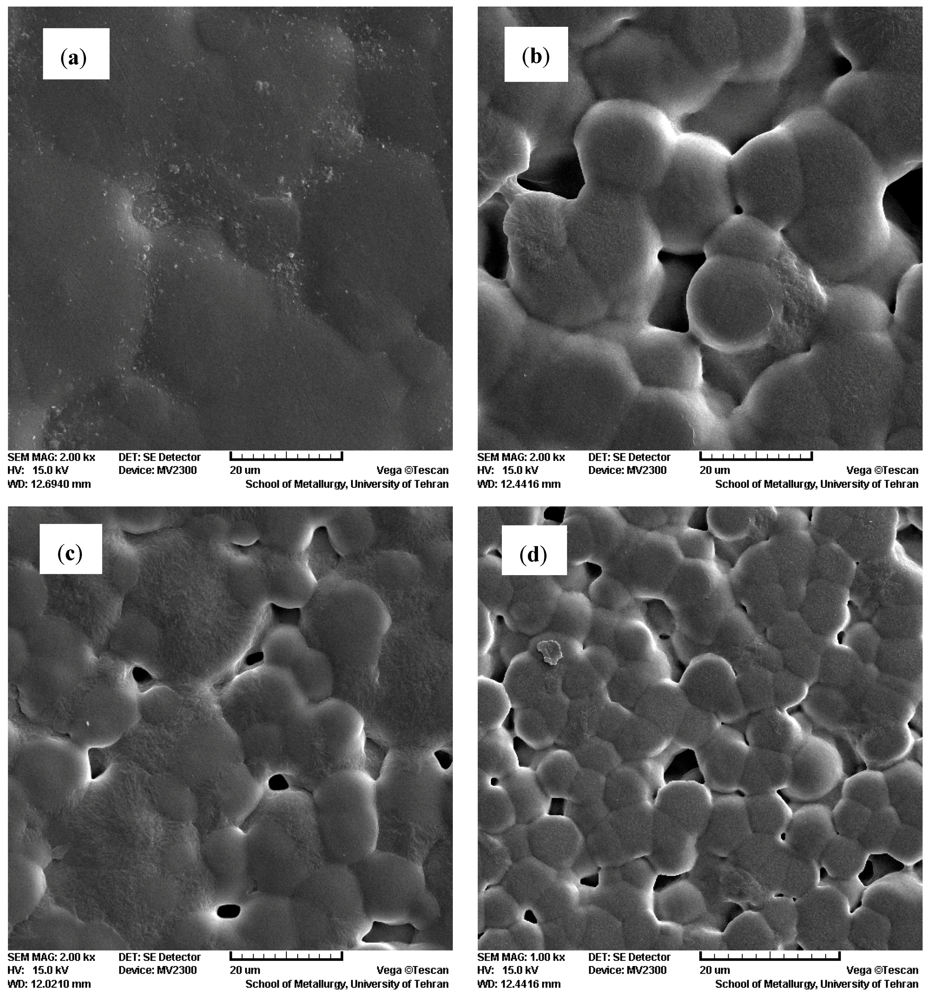 Polymers 12 02630 g004 Polymers 12 02630 g004
