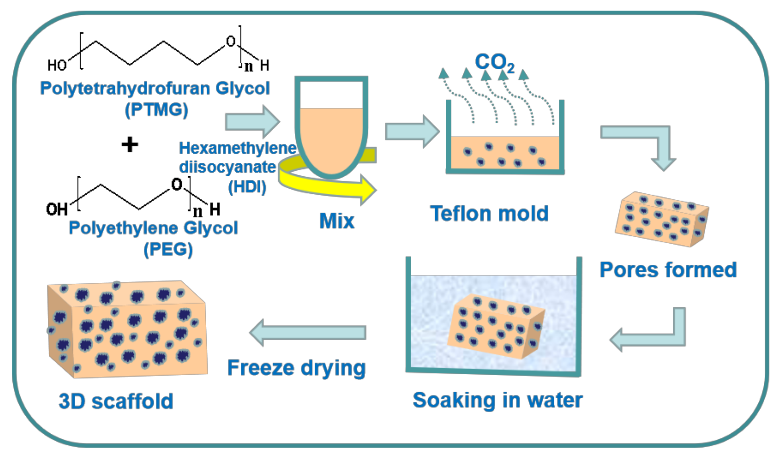 Polymers Free FullText Biomimetic Polyurethane 3D Scaffolds Based