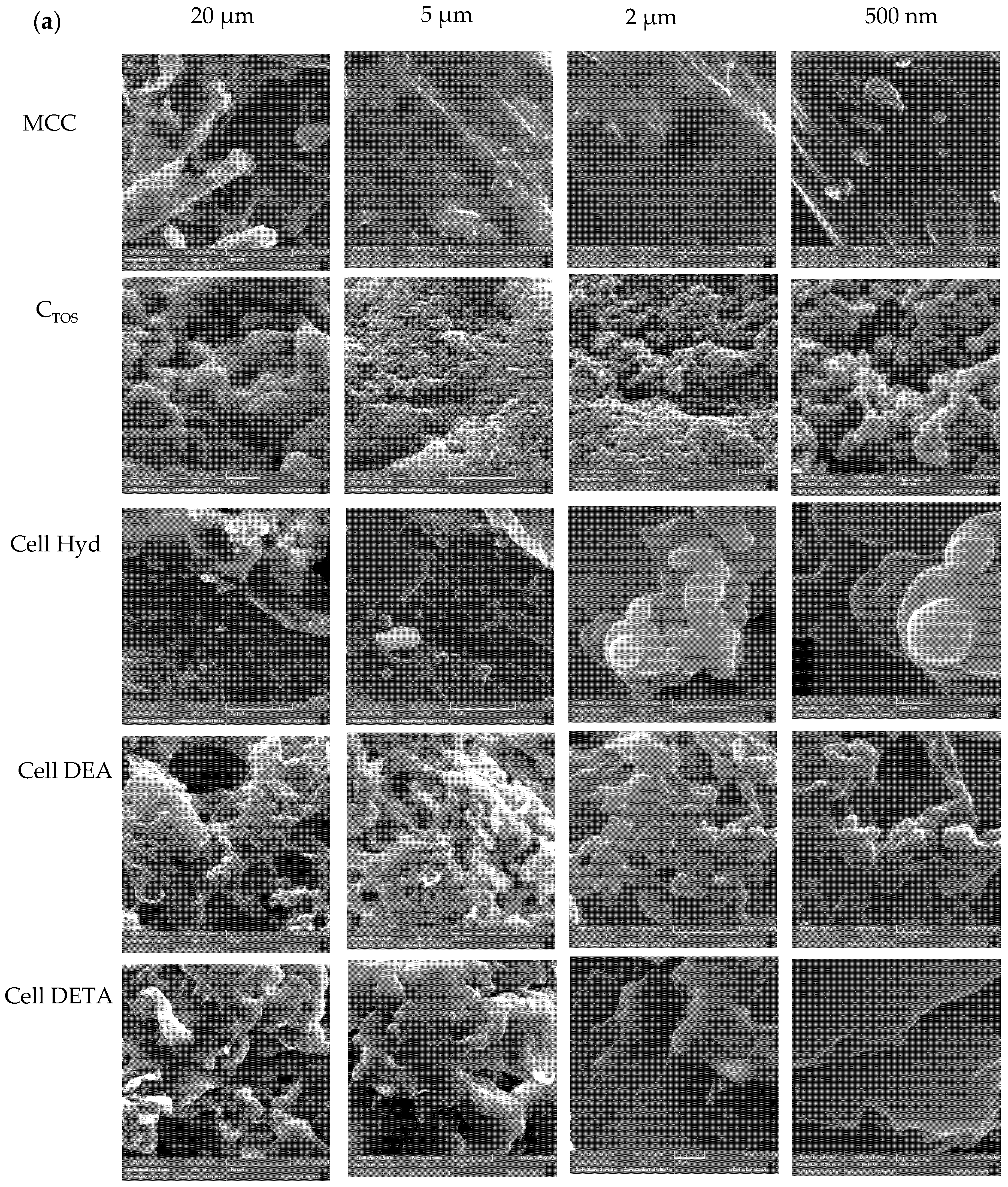 Polymers 12 02634 g003a Polymers 12 02634 g003a