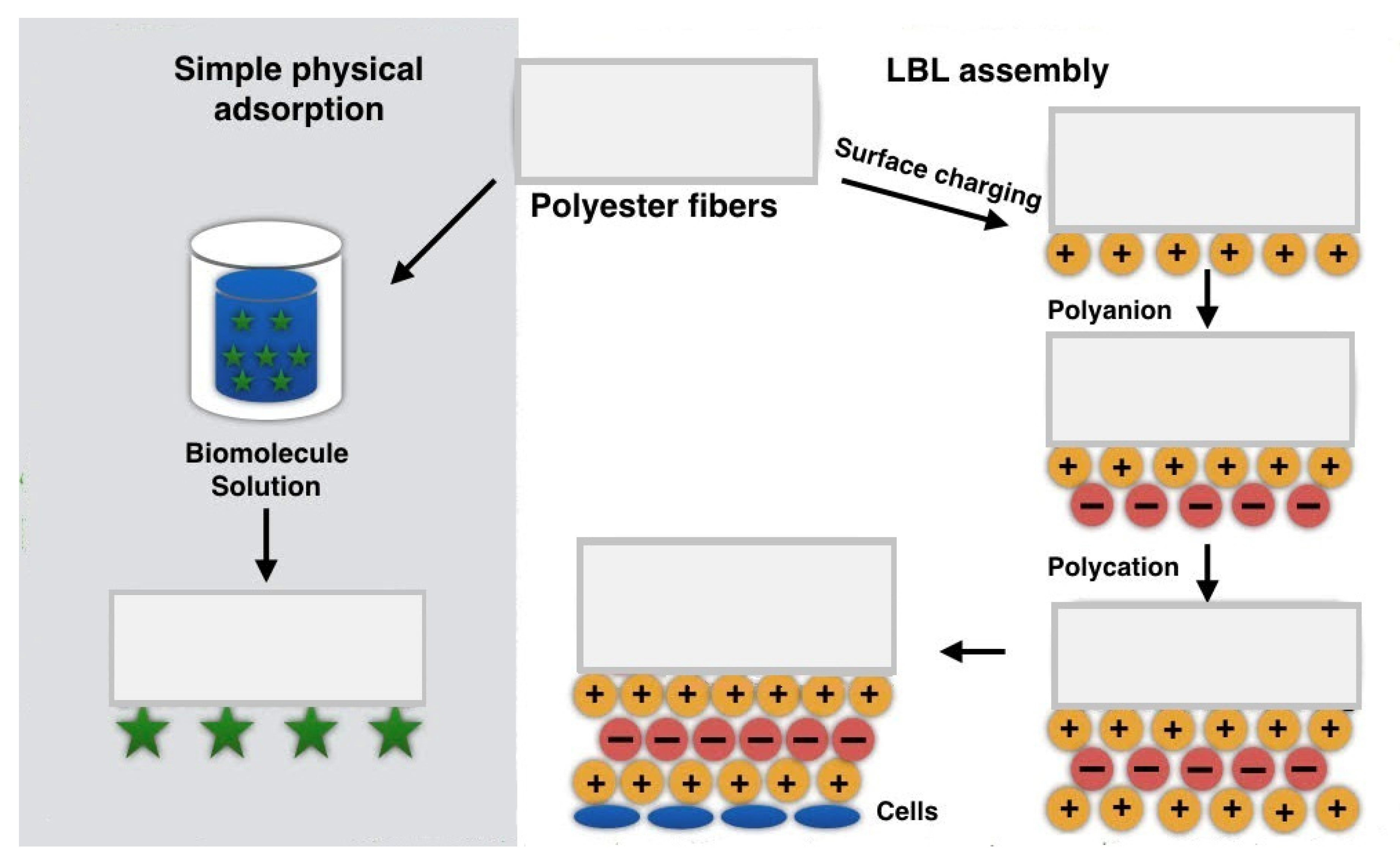 Polymers 12 02636 g003 Polymers 12 02636 g003