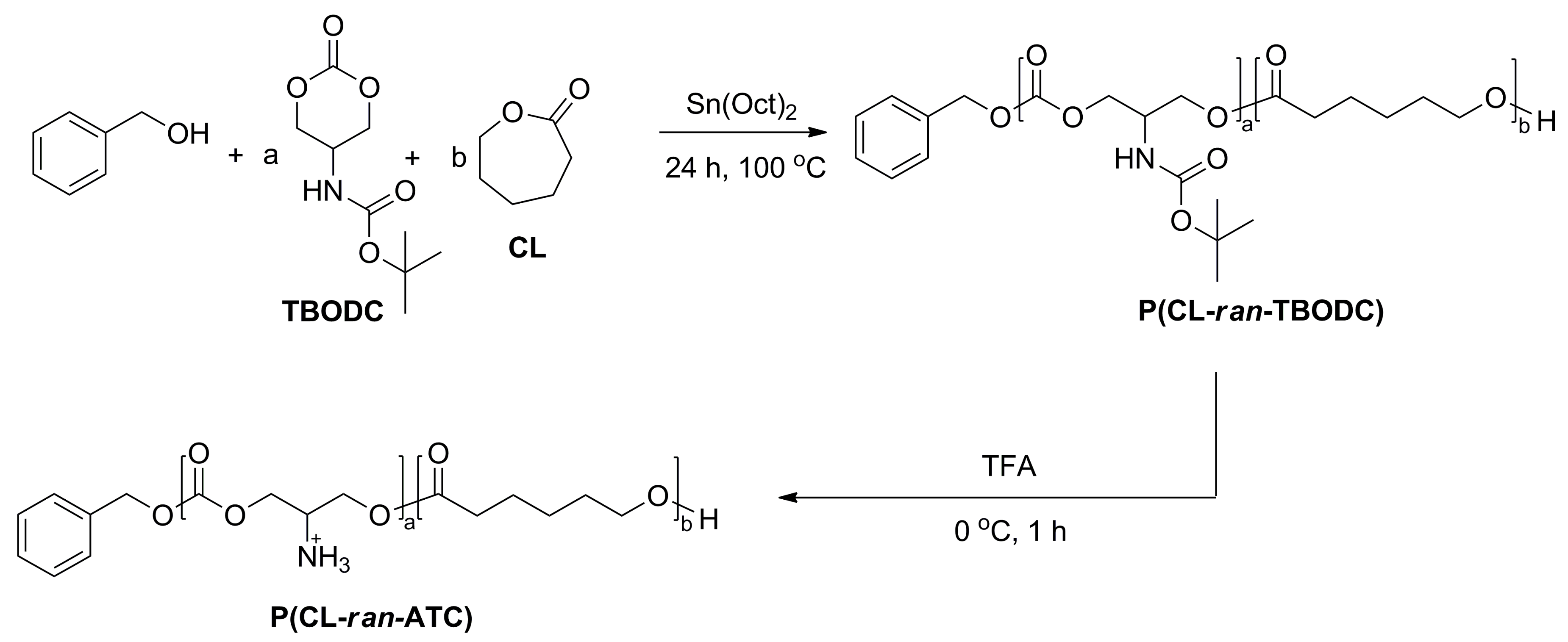 Polymers 12 02640 sch002 Polymers 12 02640 sch002