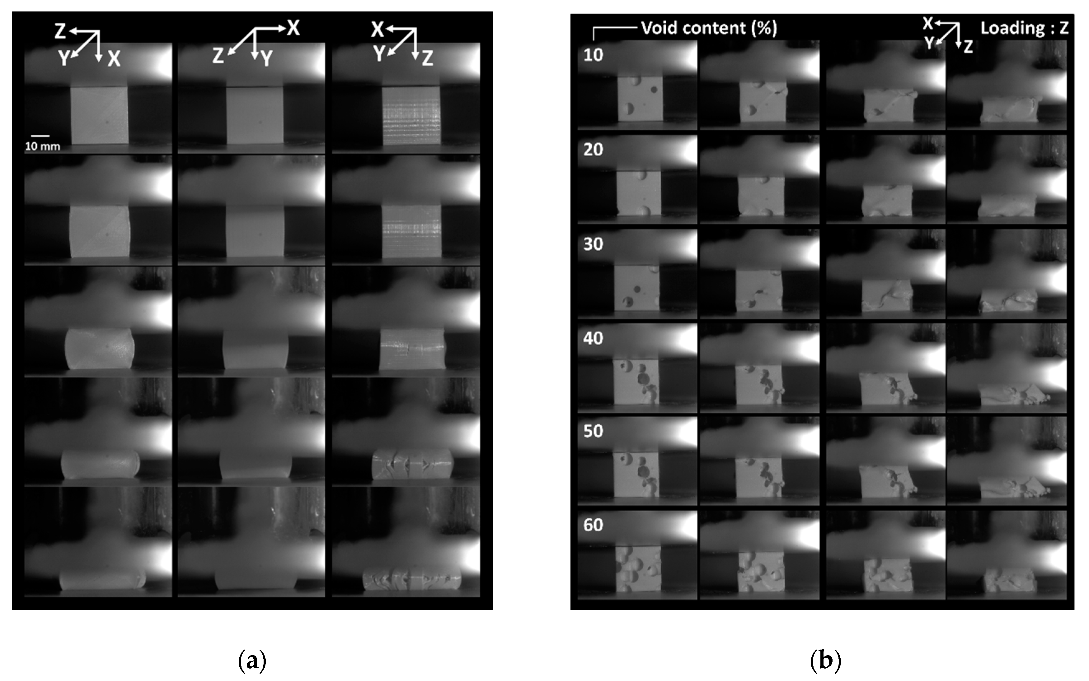 Polymers 12 02651 g001