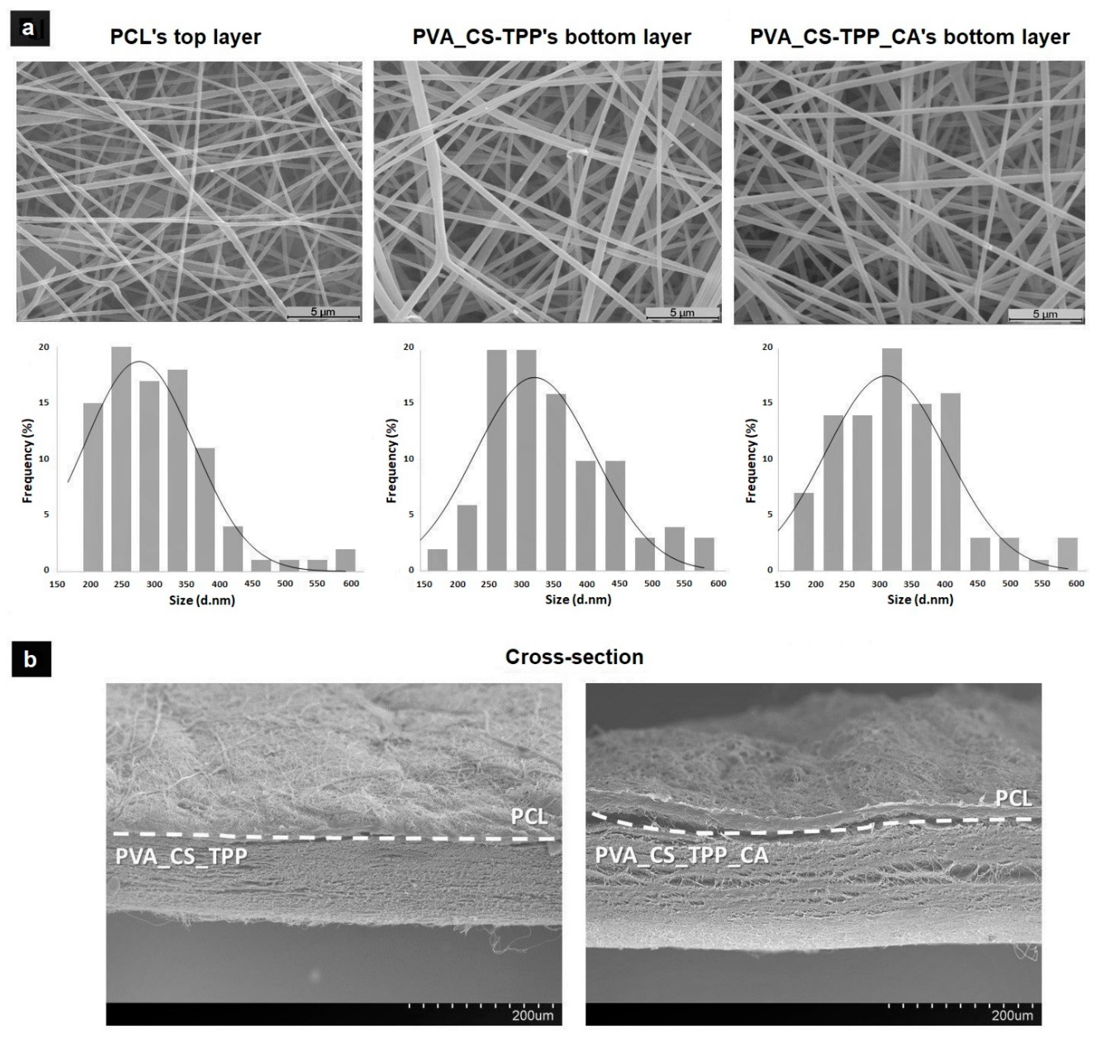 Polymers 12 02653 g001 Polymers 12 02653 g001