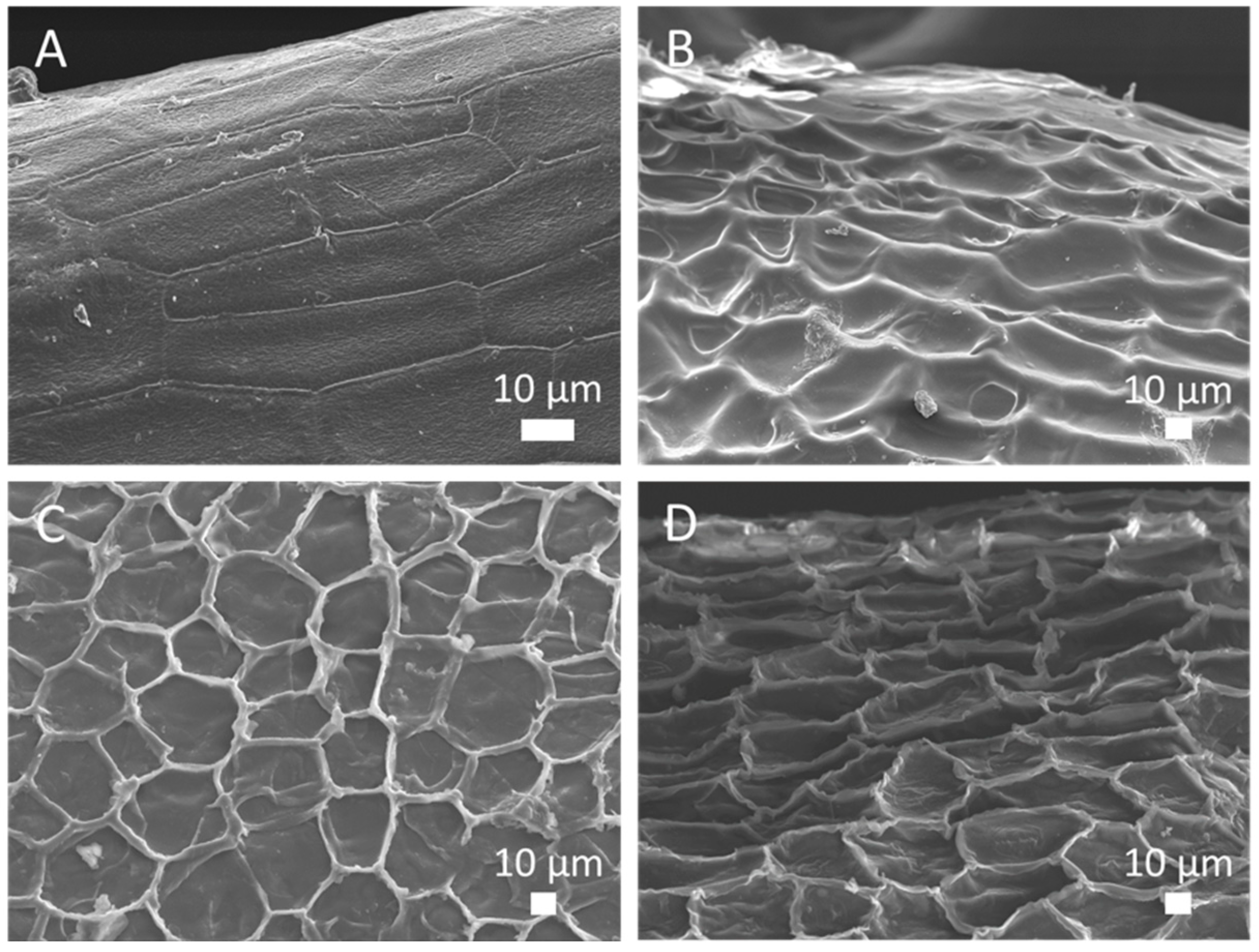 Polymers 12 02654 g003