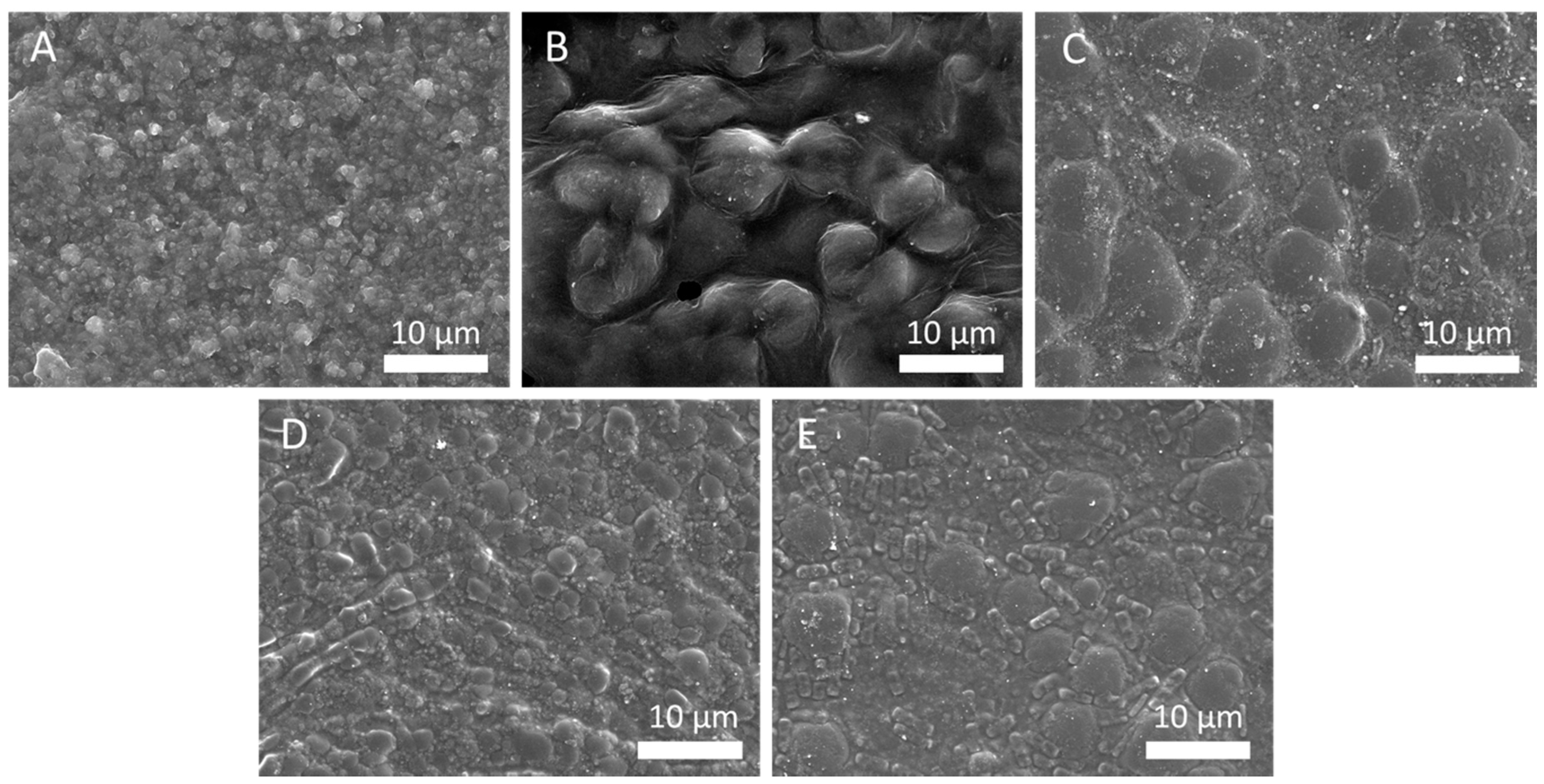 Polymers 12 02654 g004