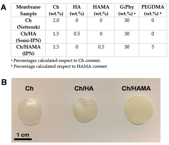 Polymers Free Full Text Evaluation Of Glycerylphytate Crosslinked Semi And Interpenetrated Polymer Membranes Of Hyaluronic Acid And Chitosan For Tissue Engineering Html Polymers Free Full Text Evaluation Of Glycerylphytate Crosslinked Semi And Interpenetrated Polymer Membranes Of Hyaluronic Acid And Chitosan For Tissue Engineering Html
