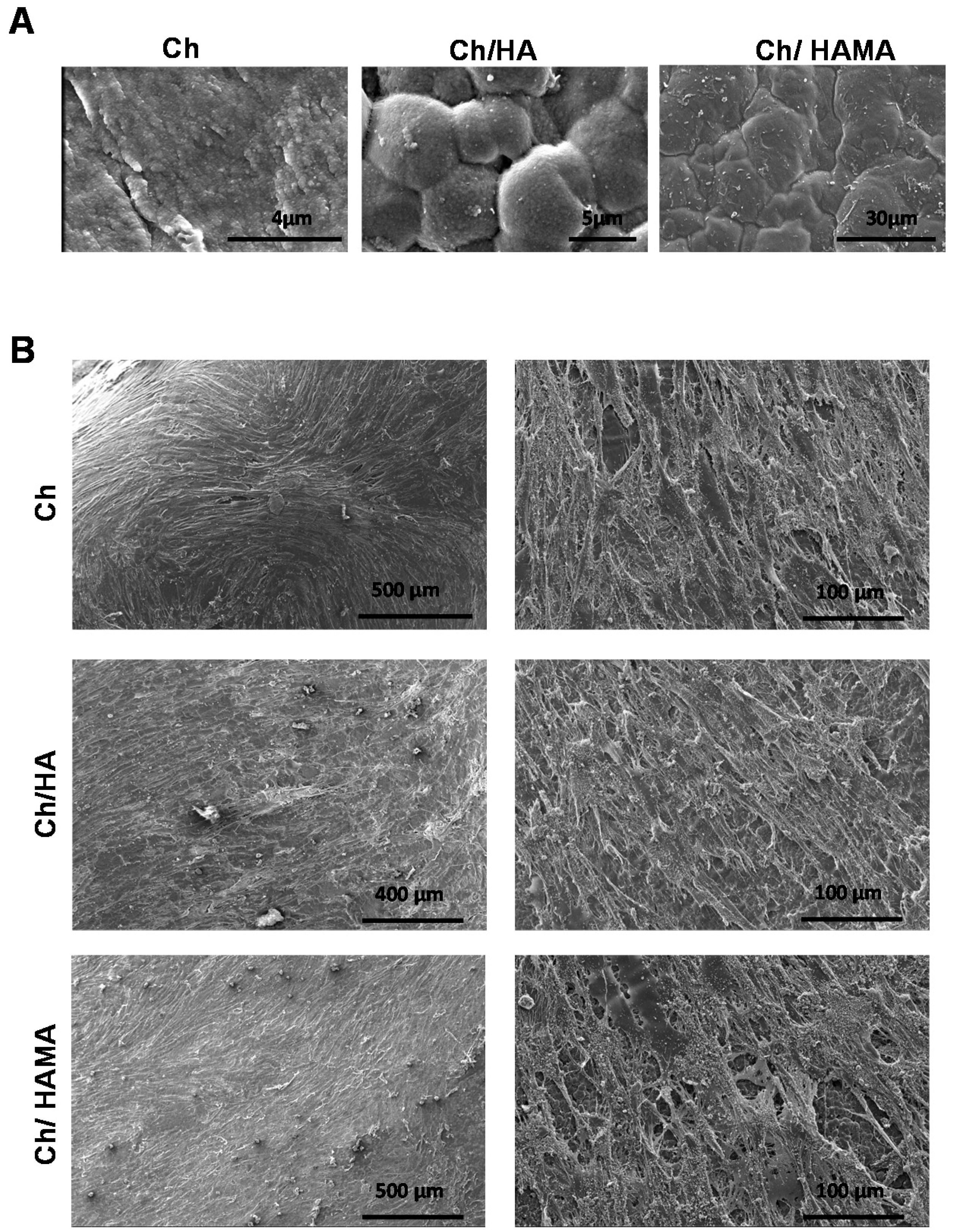 Polymers 12 02661 g006 Polymers 12 02661 g006