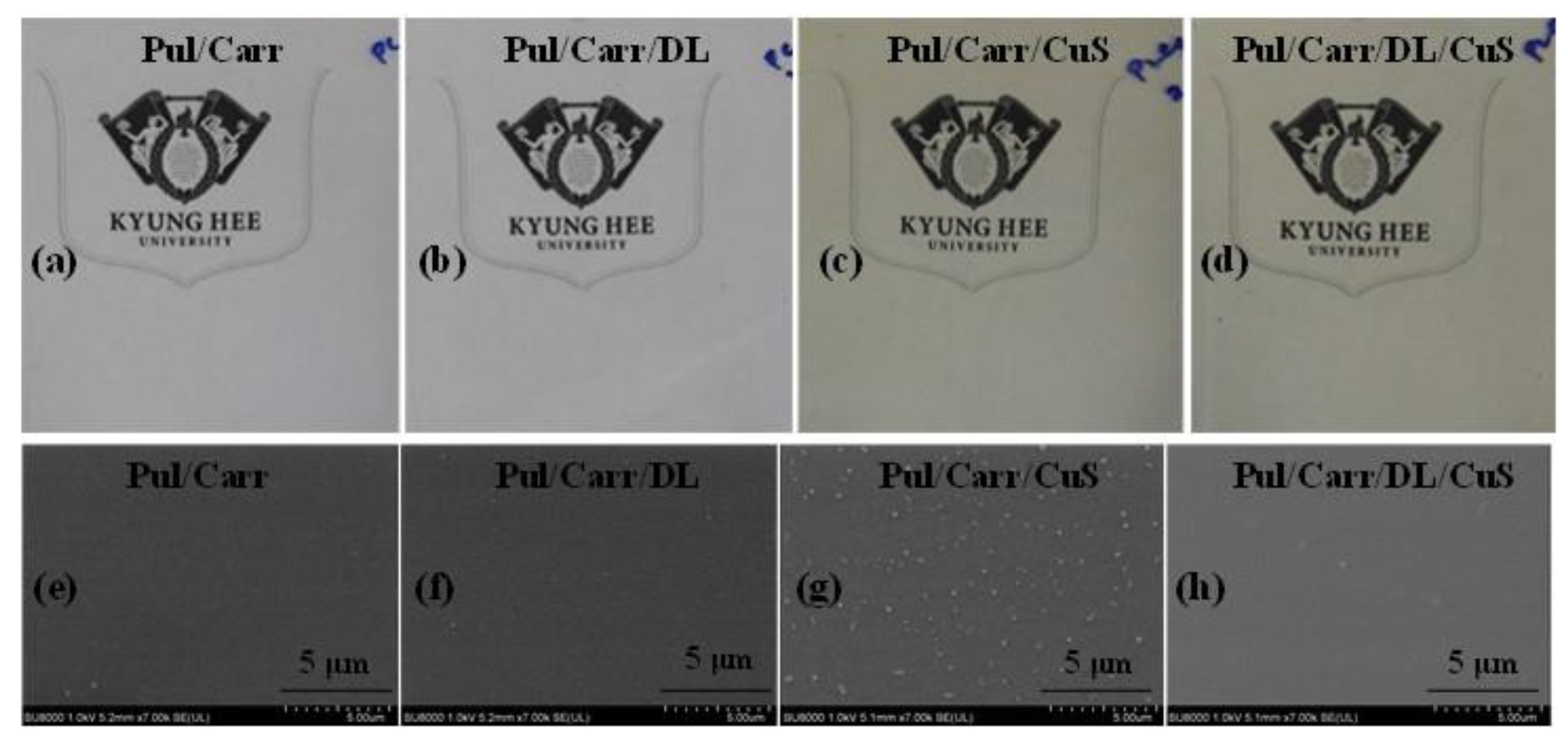 Polymers 12 02665 g001