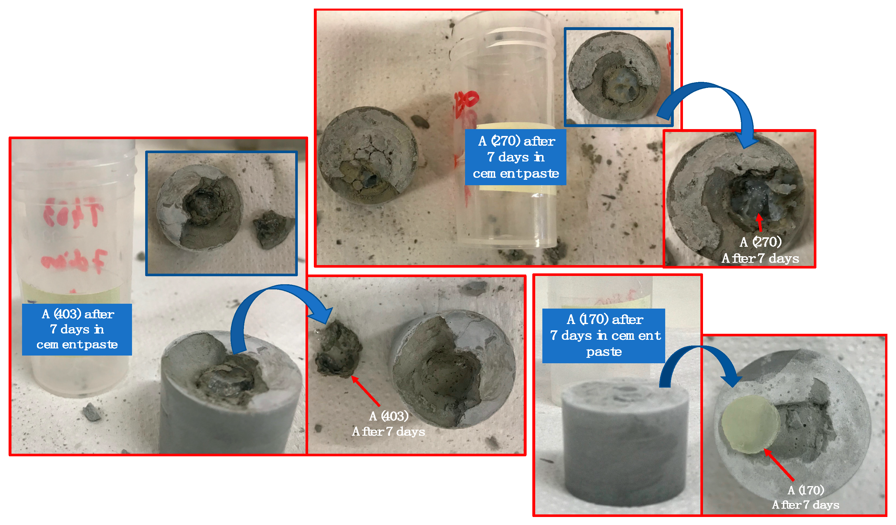 Polymers 12 02671 g007