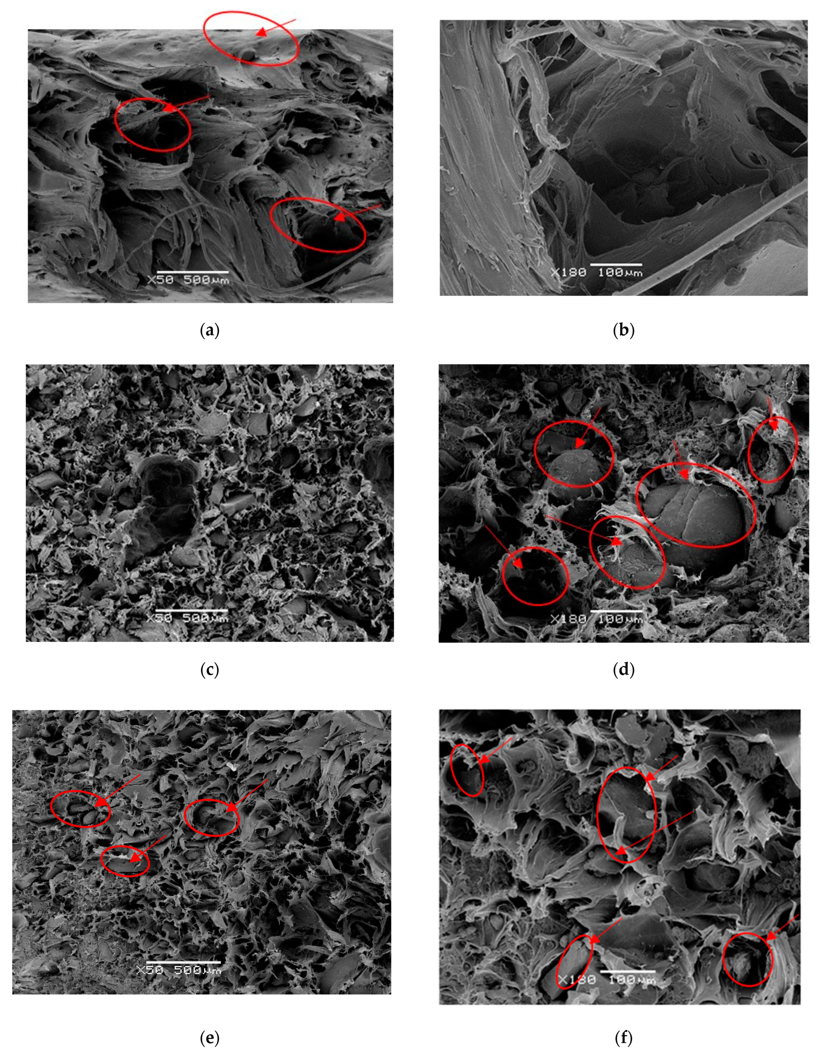 Polymers 12 02675 g003 Polymers 12 02675 g003