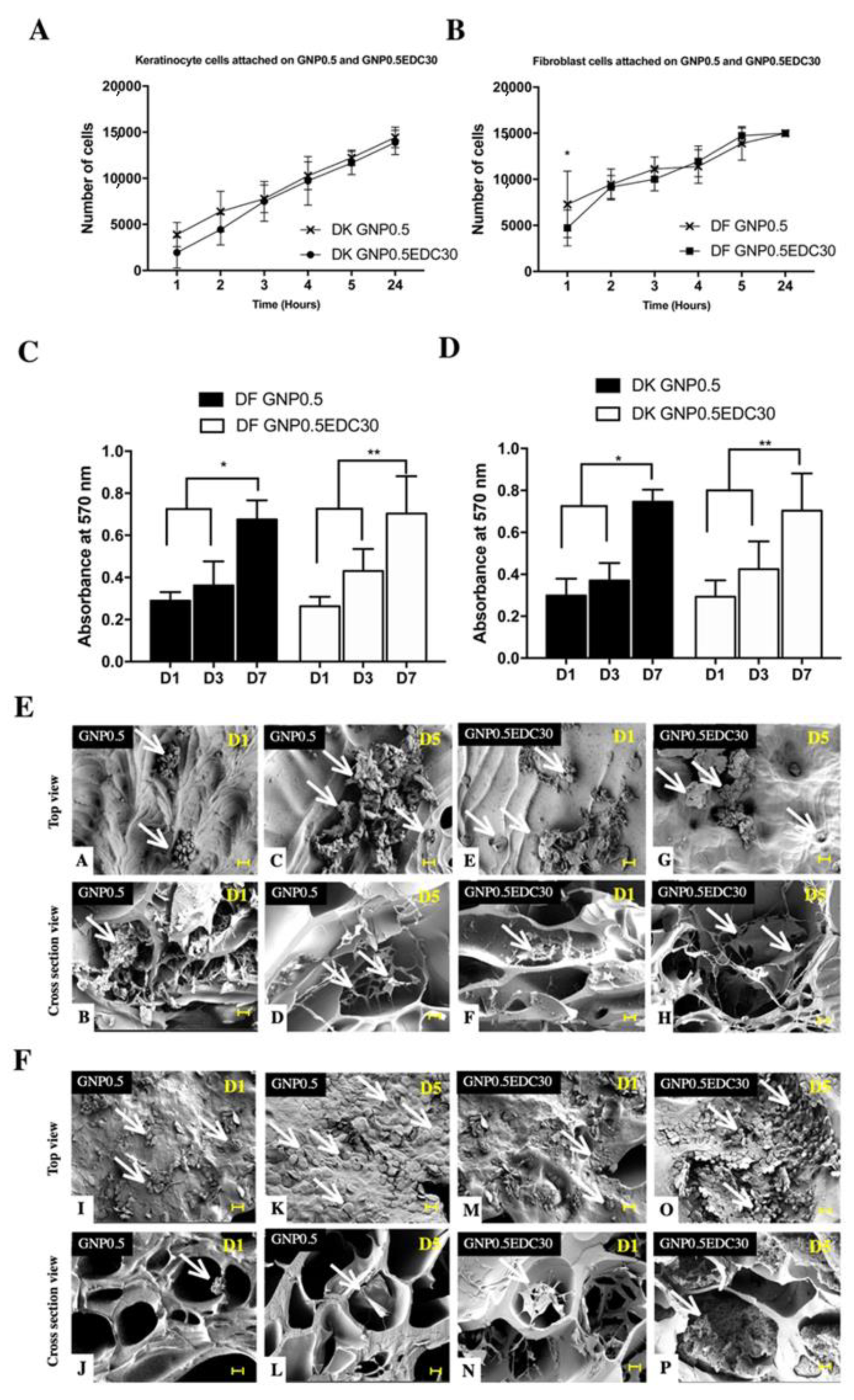 Polymers 12 02678 g006
