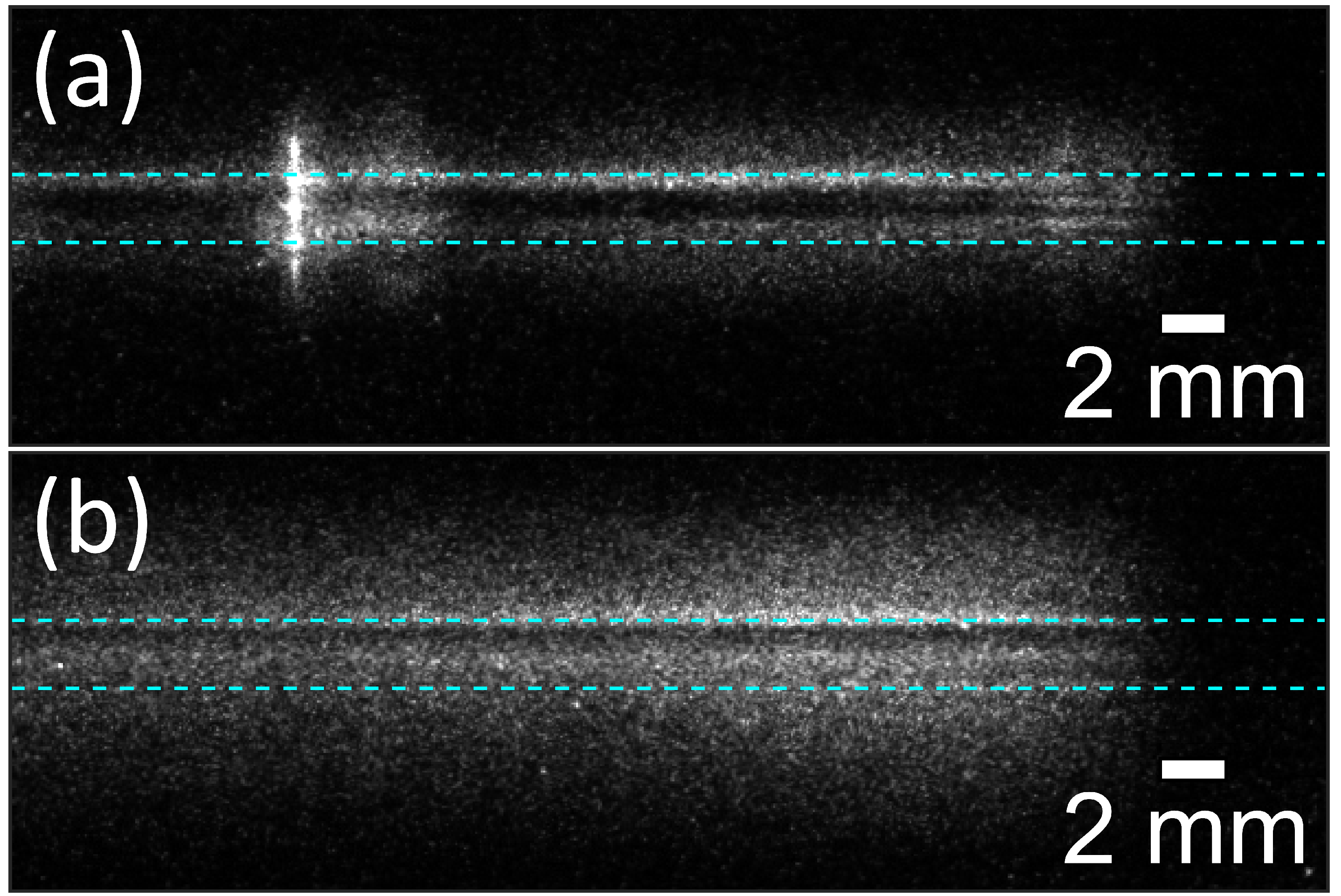Polymers 12 02679 g001